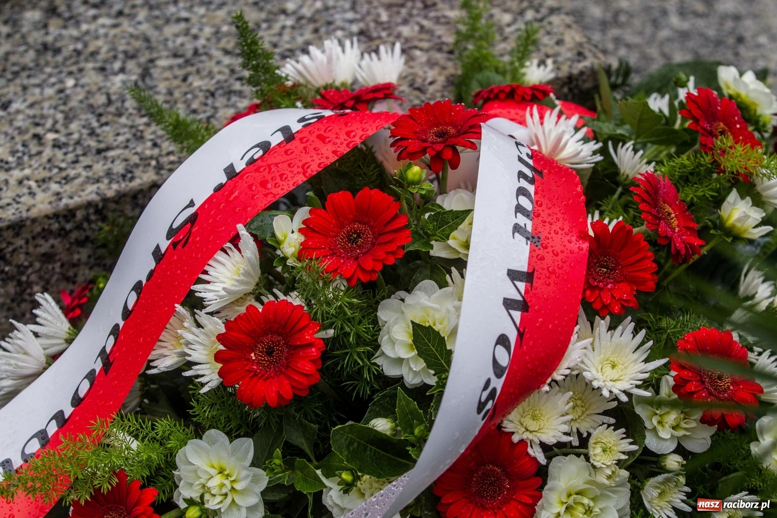 Zdjęcie w galerii na portalu naszraciborz.pl: Minister Michał Woś wraz z leśnikami złożył hołd Powstańcom Śląskim wiadomości z regionu