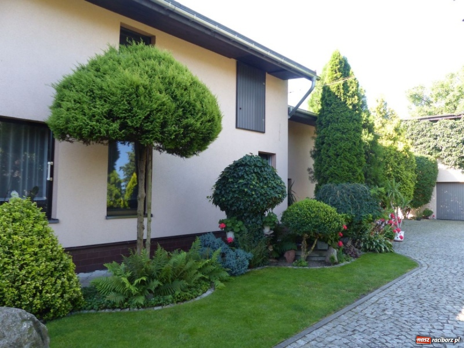 Zdjęcie w galerii na portalu naszraciborz.pl: Wybrano najładniejszy przydomowy ogródek sołectwa Moravia wiadomości z regionu