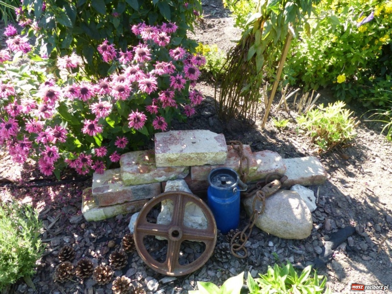 Zdjęcie w galerii na portalu naszraciborz.pl: Wybrano najładniejszy przydomowy ogródek sołectwa Moravia wiadomości z regionu