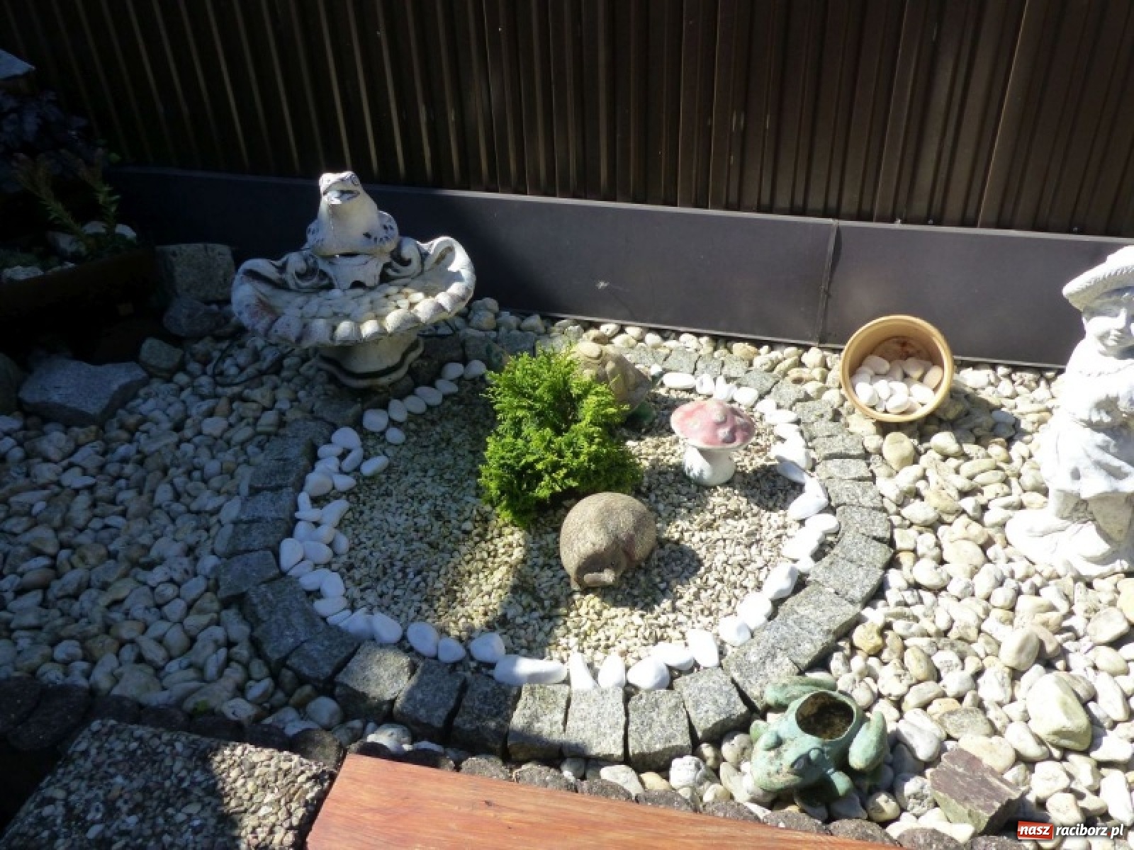 Zdjęcie w galerii na portalu naszraciborz.pl: Wybrano najładniejszy przydomowy ogródek sołectwa Moravia wiadomości z regionu