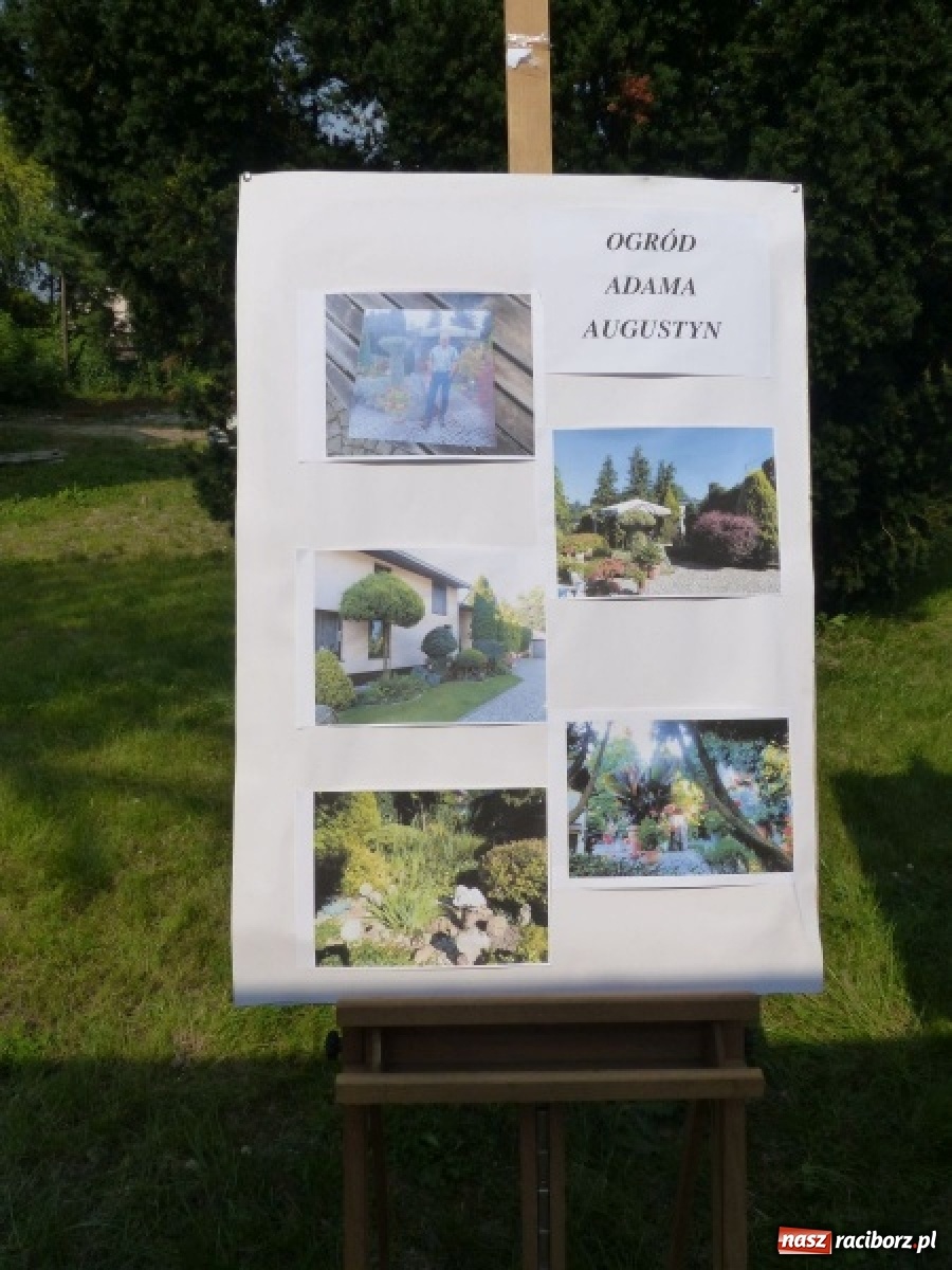 Zdjęcie w galerii na portalu naszraciborz.pl: Wybrano najładniejszy przydomowy ogródek sołectwa Moravia wiadomości z regionu