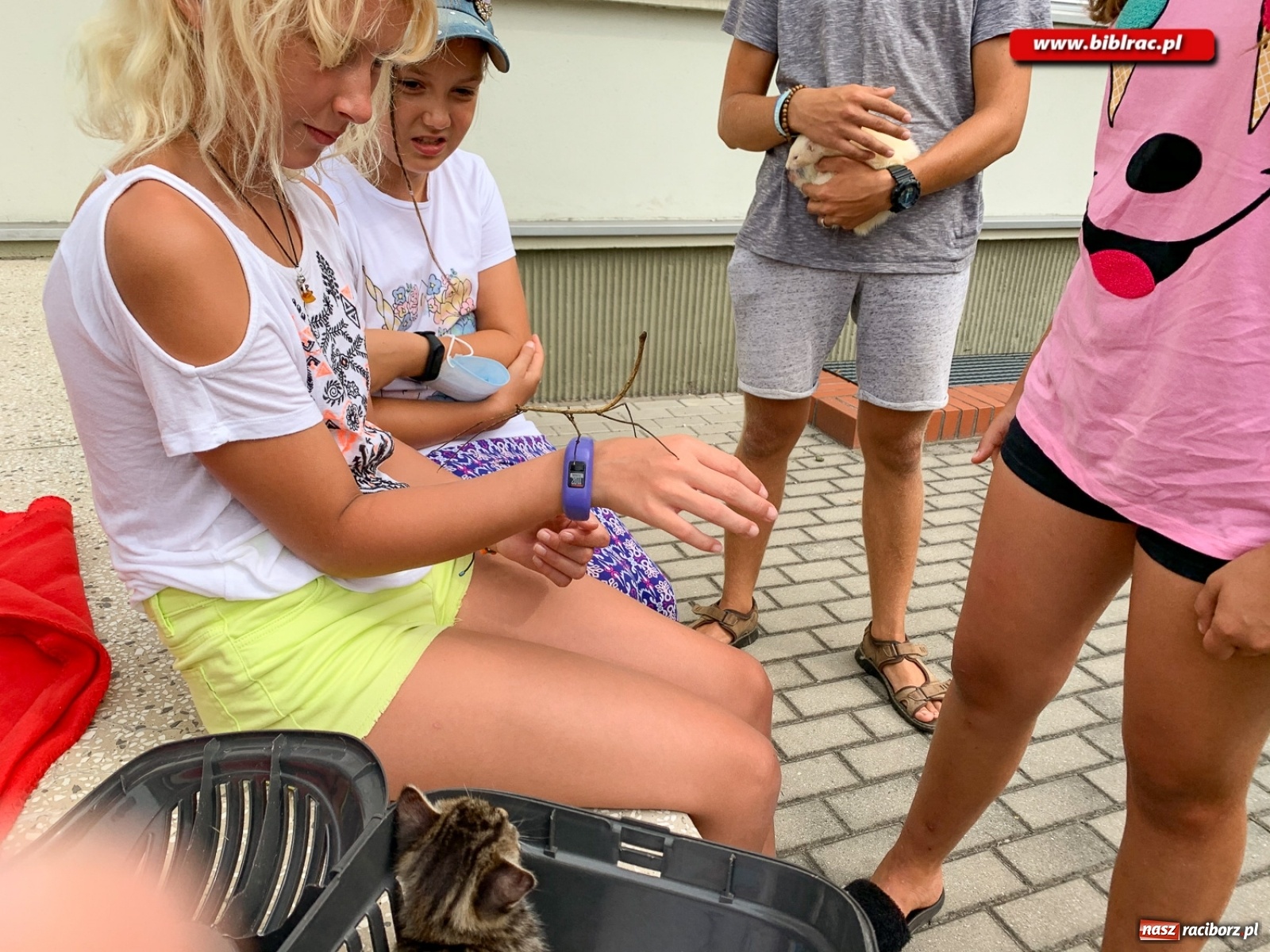 Zdjęcie w galerii na portalu naszraciborz.pl: Czego boi się tchórzofretka, czyli zooterapia w ocickiej bibliotece wiadomości z regionu