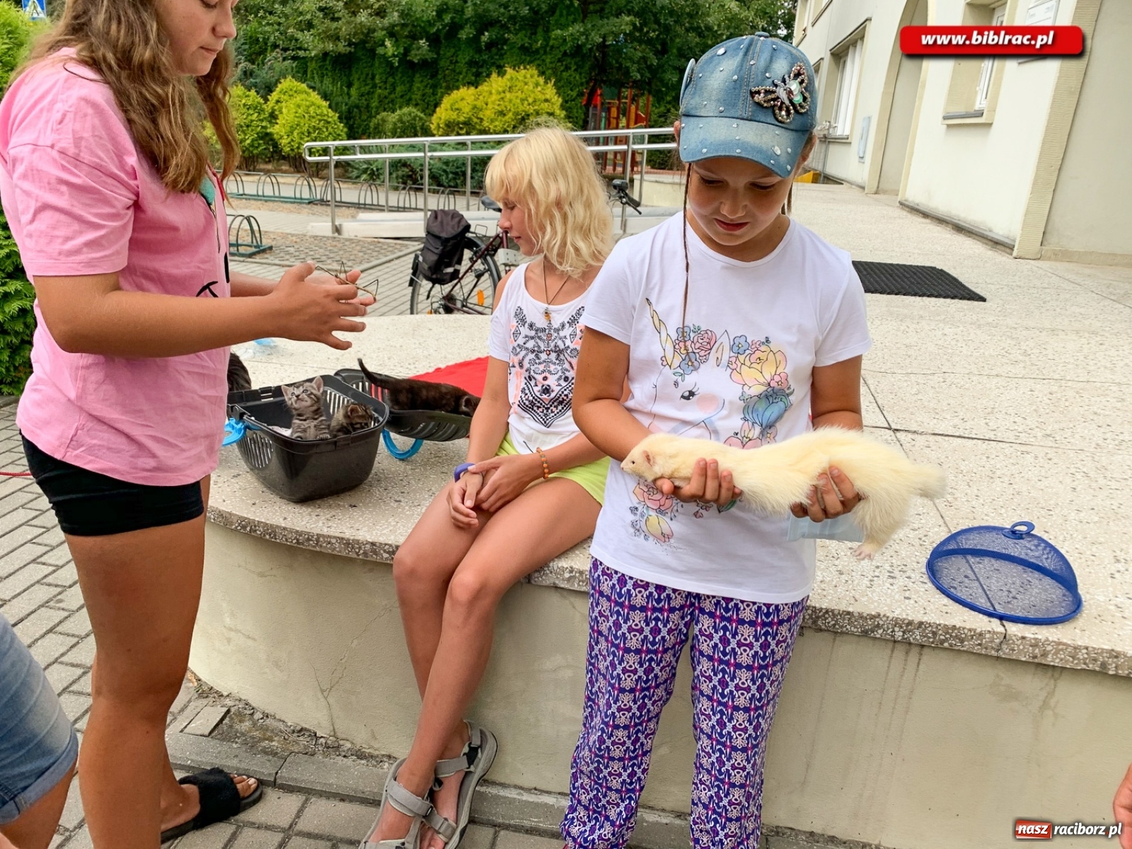 Zdjęcie w galerii na portalu naszraciborz.pl: Czego boi się tchórzofretka, czyli zooterapia w ocickiej bibliotece wiadomości z regionu