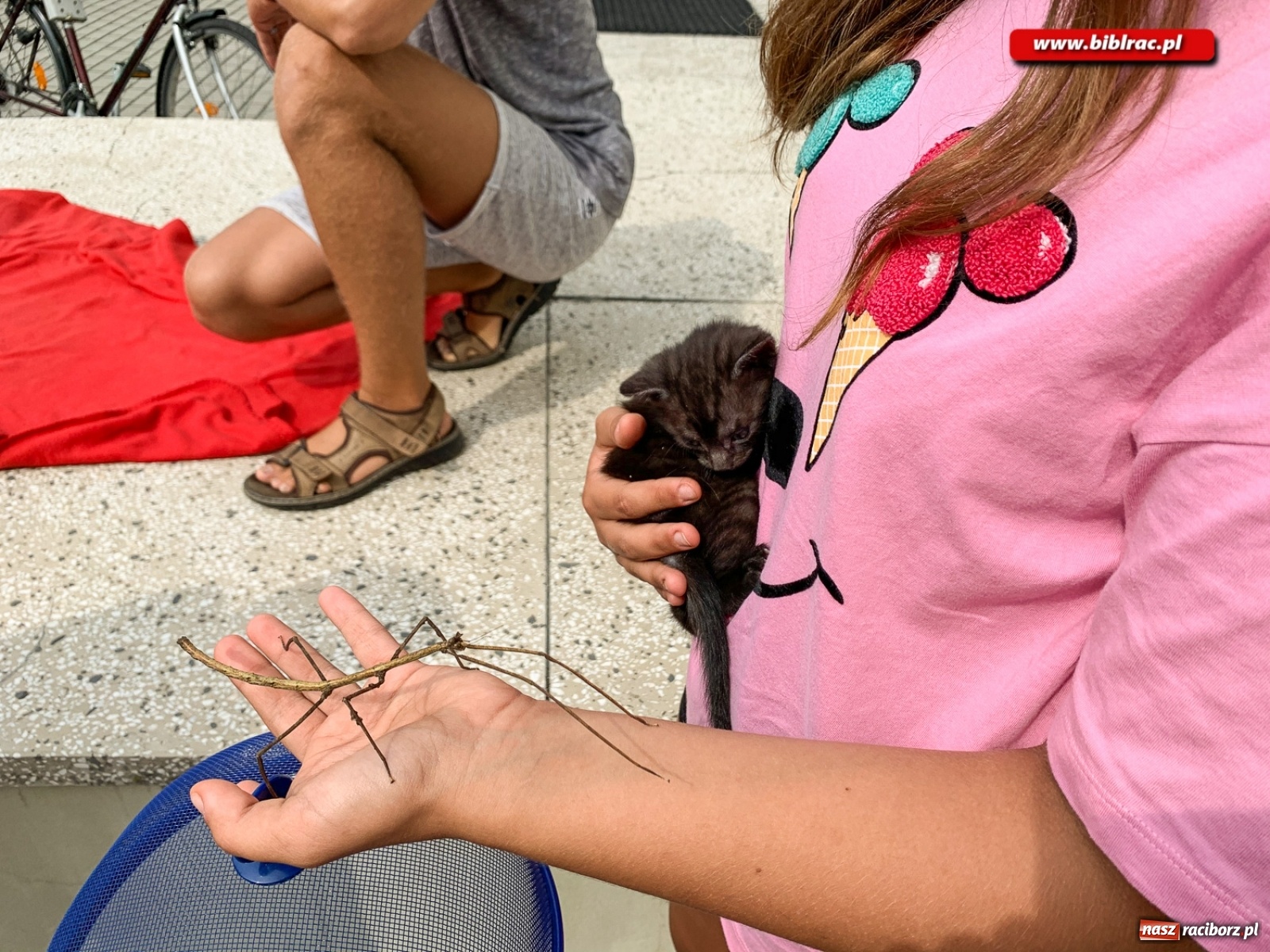 Zdjęcie w galerii na portalu naszraciborz.pl: Czego boi się tchórzofretka, czyli zooterapia w ocickiej bibliotece wiadomości z regionu