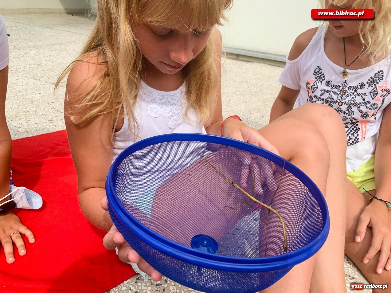 Zdjęcie w galerii na portalu naszraciborz.pl: Czego boi się tchórzofretka, czyli zooterapia w ocickiej bibliotece wiadomości z regionu