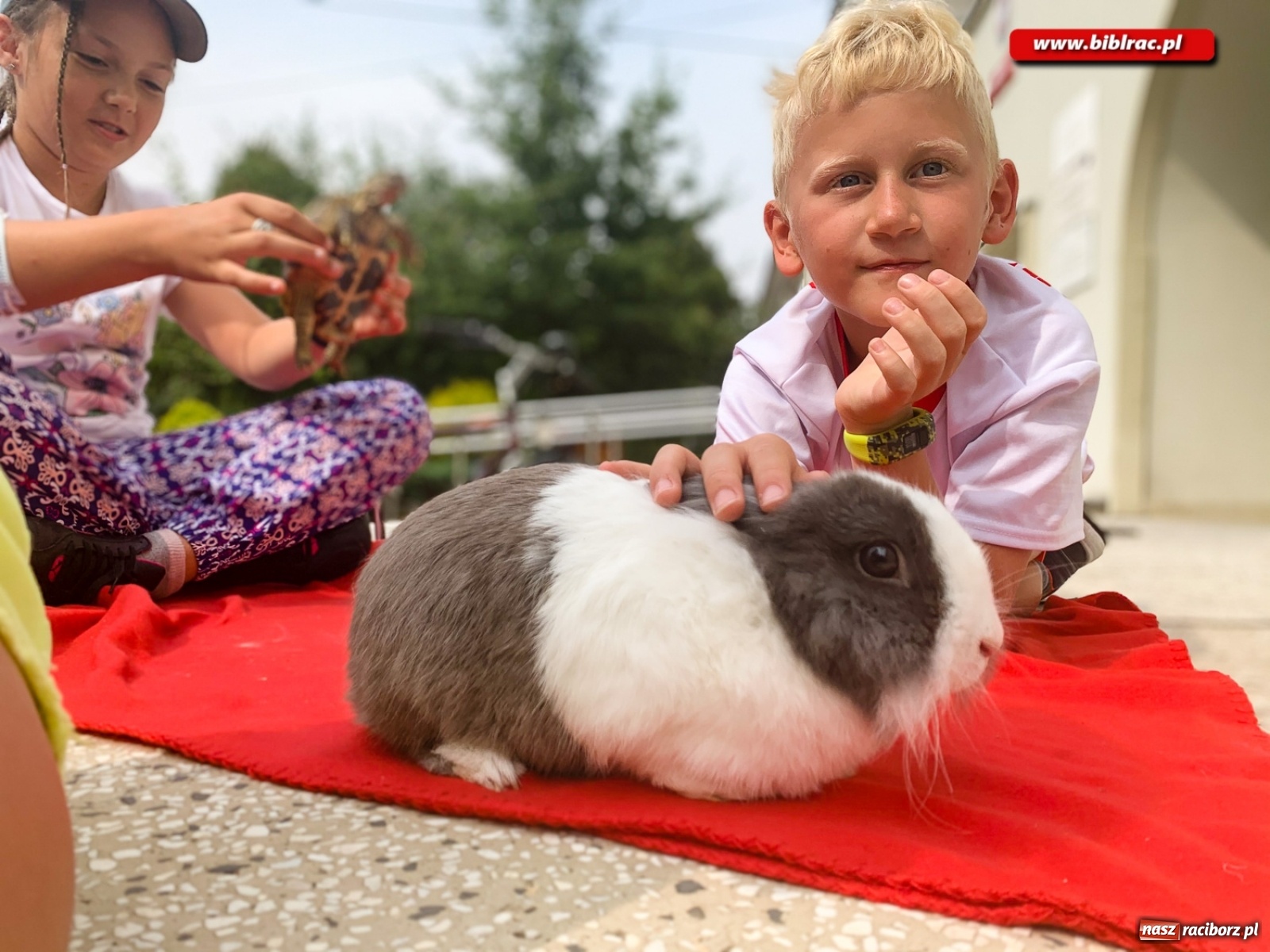 Zdjęcie w galerii na portalu naszraciborz.pl: Czego boi się tchórzofretka, czyli zooterapia w ocickiej bibliotece wiadomości z regionu