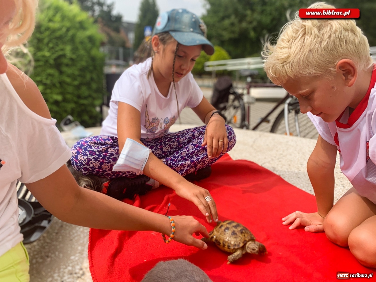 Zdjęcie w galerii na portalu naszraciborz.pl: Czego boi się tchórzofretka, czyli zooterapia w ocickiej bibliotece wiadomości z regionu