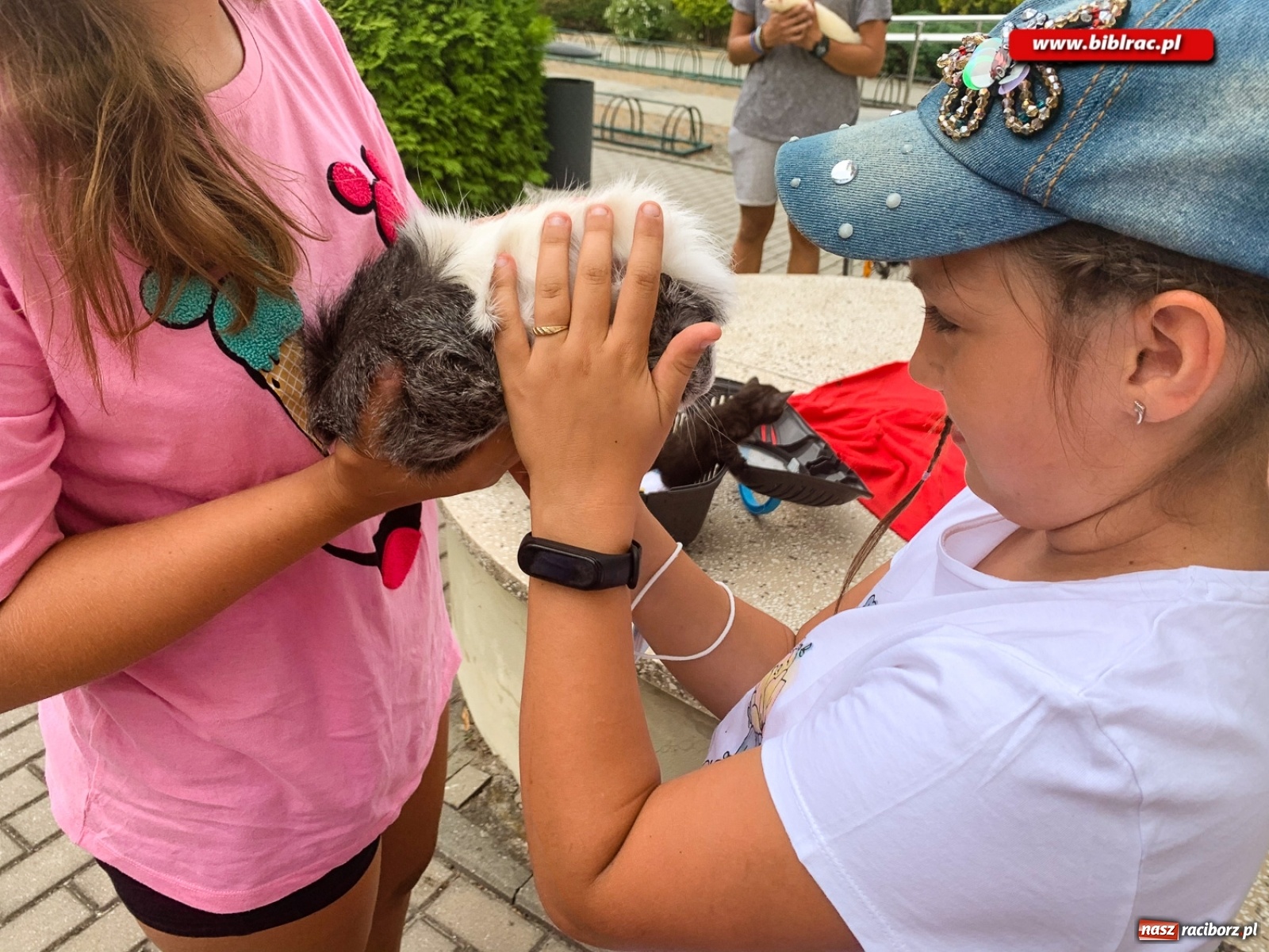Zdjęcie w galerii na portalu naszraciborz.pl: Czego boi się tchórzofretka, czyli zooterapia w ocickiej bibliotece wiadomości z regionu