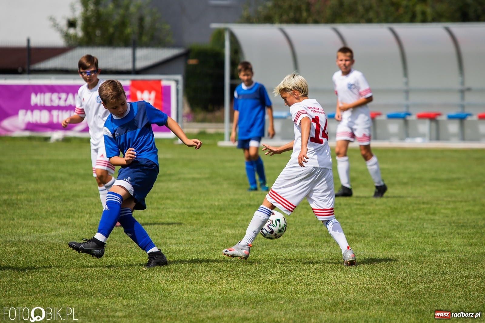 Zdjęcie w galerii na portalu naszraciborz.pl: VII turniej im. Zbigniewa Oszka w Studziennej wiadomości z regionu
