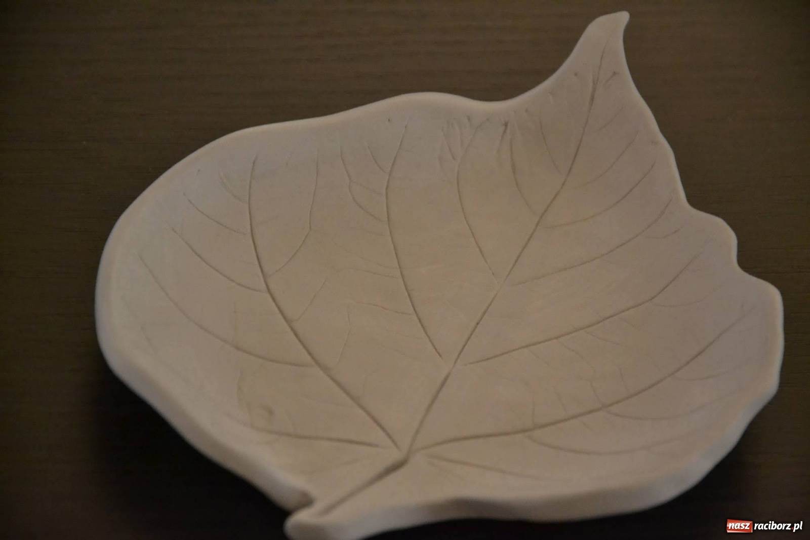 Zdjęcie w galerii na portalu naszraciborz.pl: Tęsknota za normalnością - finisaż na Zamku Piastowskim  wiadomości z regionu