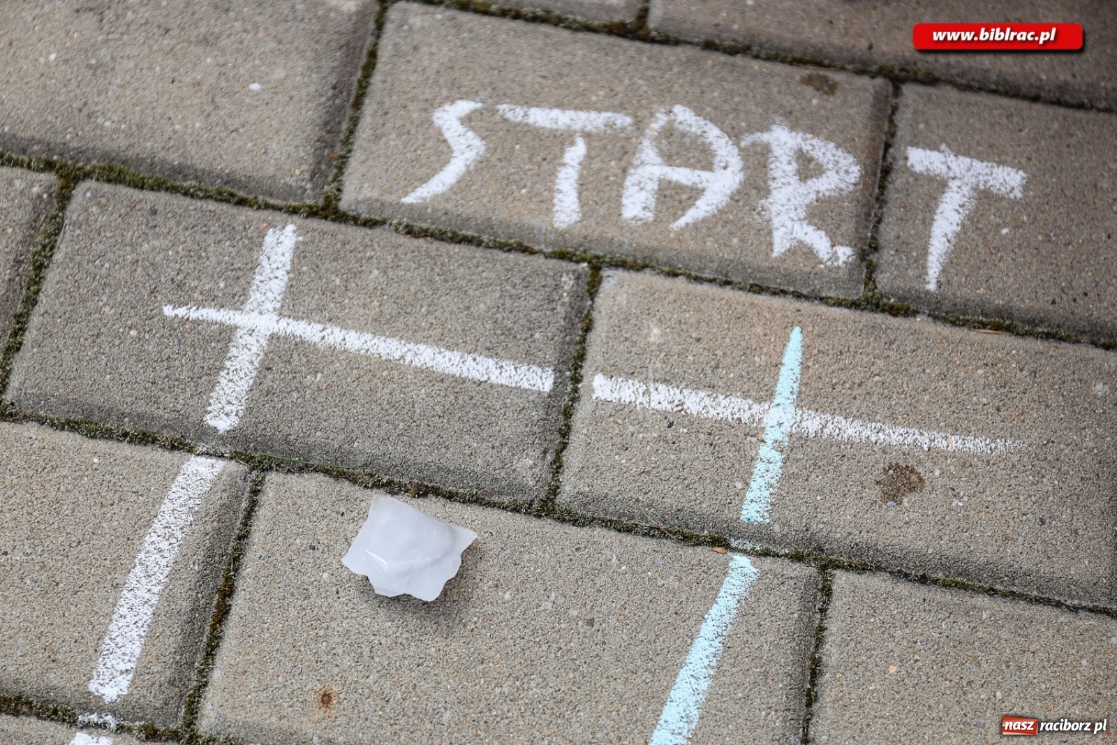 Zdjęcie w galerii na portalu naszraciborz.pl: Przygodowe lato z biblioteką dobiegło końca [FOTO] wiadomości z regionu