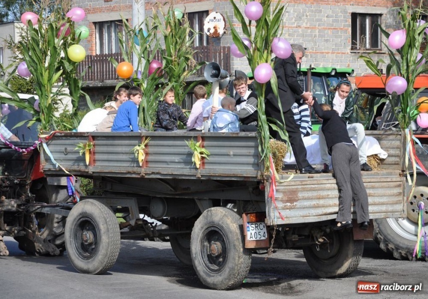 Zdjęcie w galerii na portalu naszraciborz.pl: Dożynki na długim dystansie wiadomości z regionu