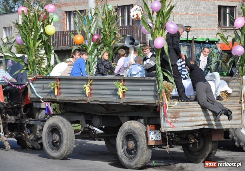 Zdjęcie w galerii na portalu naszraciborz.pl: Dożynki na długim dystansie wiadomości z regionu