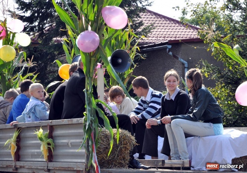 Zdjęcie w galerii na portalu naszraciborz.pl: Dożynki na długim dystansie wiadomości z regionu