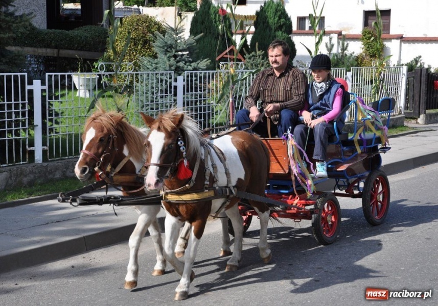 Zdjęcie w galerii na portalu naszraciborz.pl: Dożynki na długim dystansie wiadomości z regionu