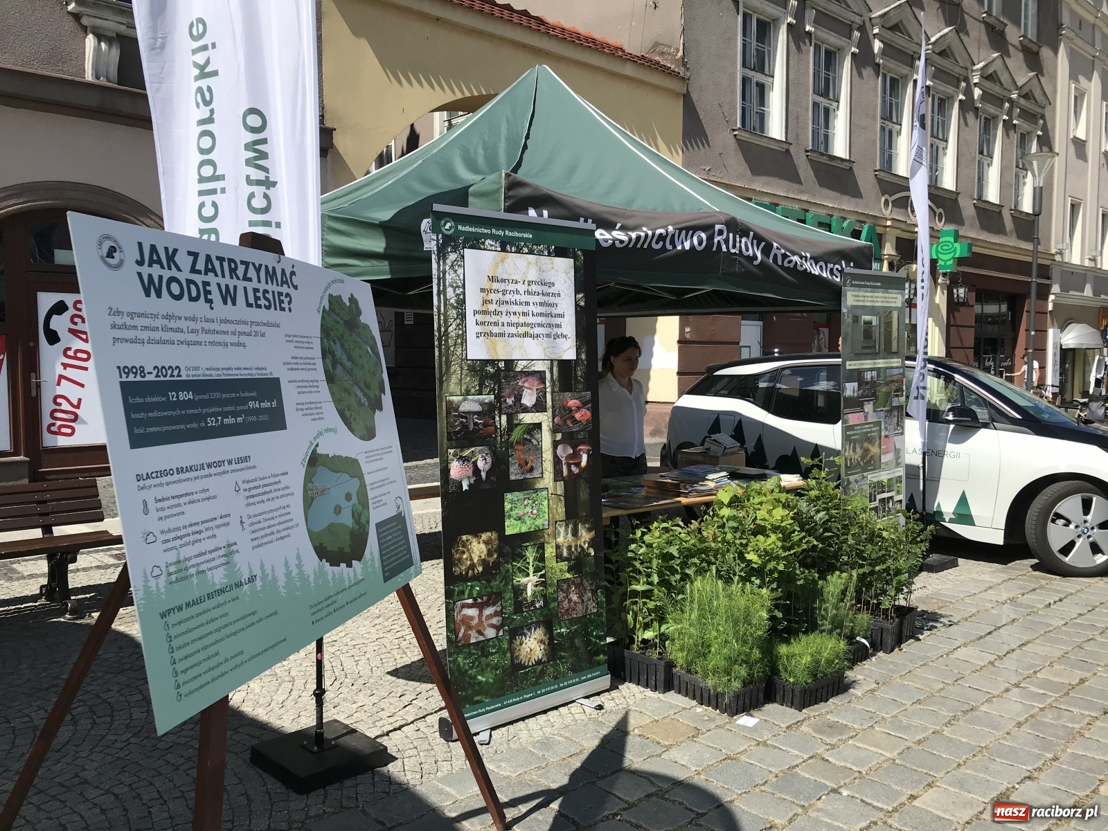 Zdjęcie w galerii na portalu naszraciborz.pl: Młodzieżowa Rada Ekologiczna na raciborskim Rynku  wiadomości z regionu
