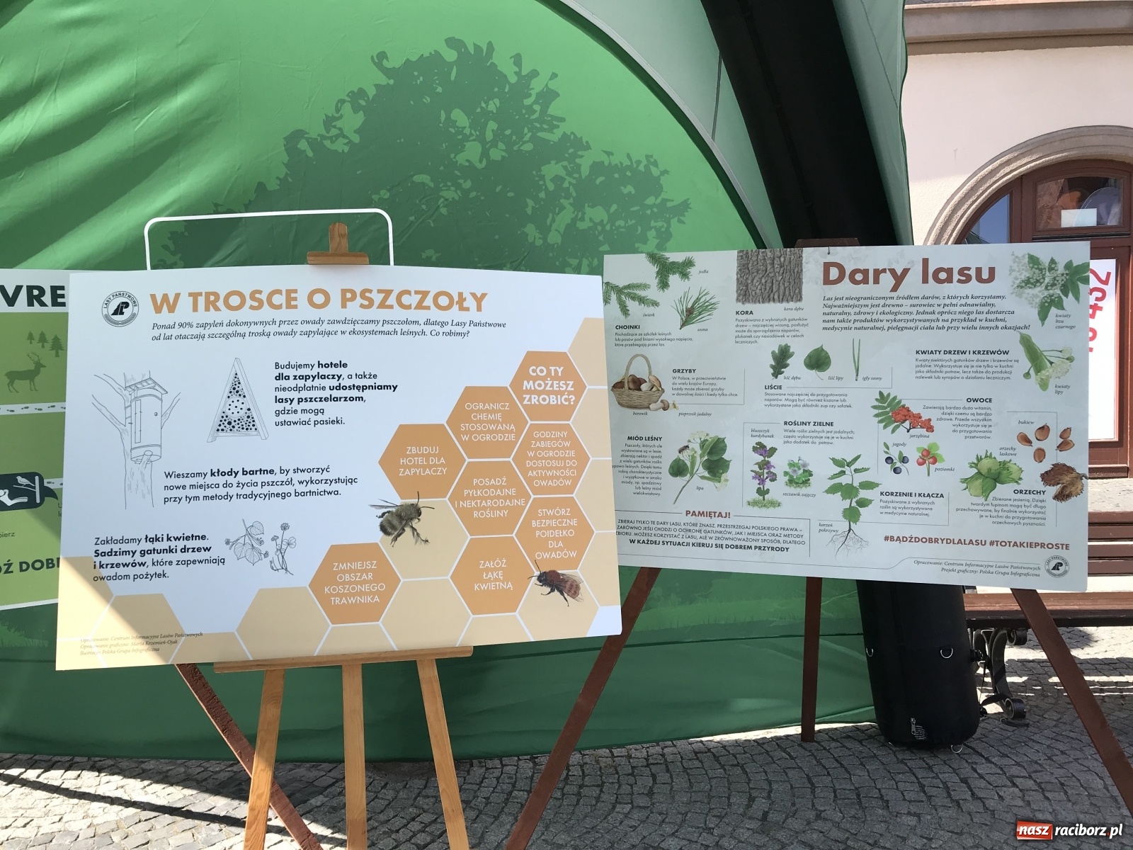 Zdjęcie w galerii na portalu naszraciborz.pl: Młodzieżowa Rada Ekologiczna na raciborskim Rynku  wiadomości z regionu