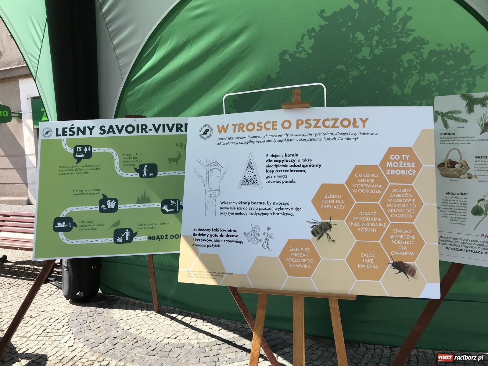Zdjęcie w galerii na portalu naszraciborz.pl: Młodzieżowa Rada Ekologiczna na raciborskim Rynku  wiadomości z regionu