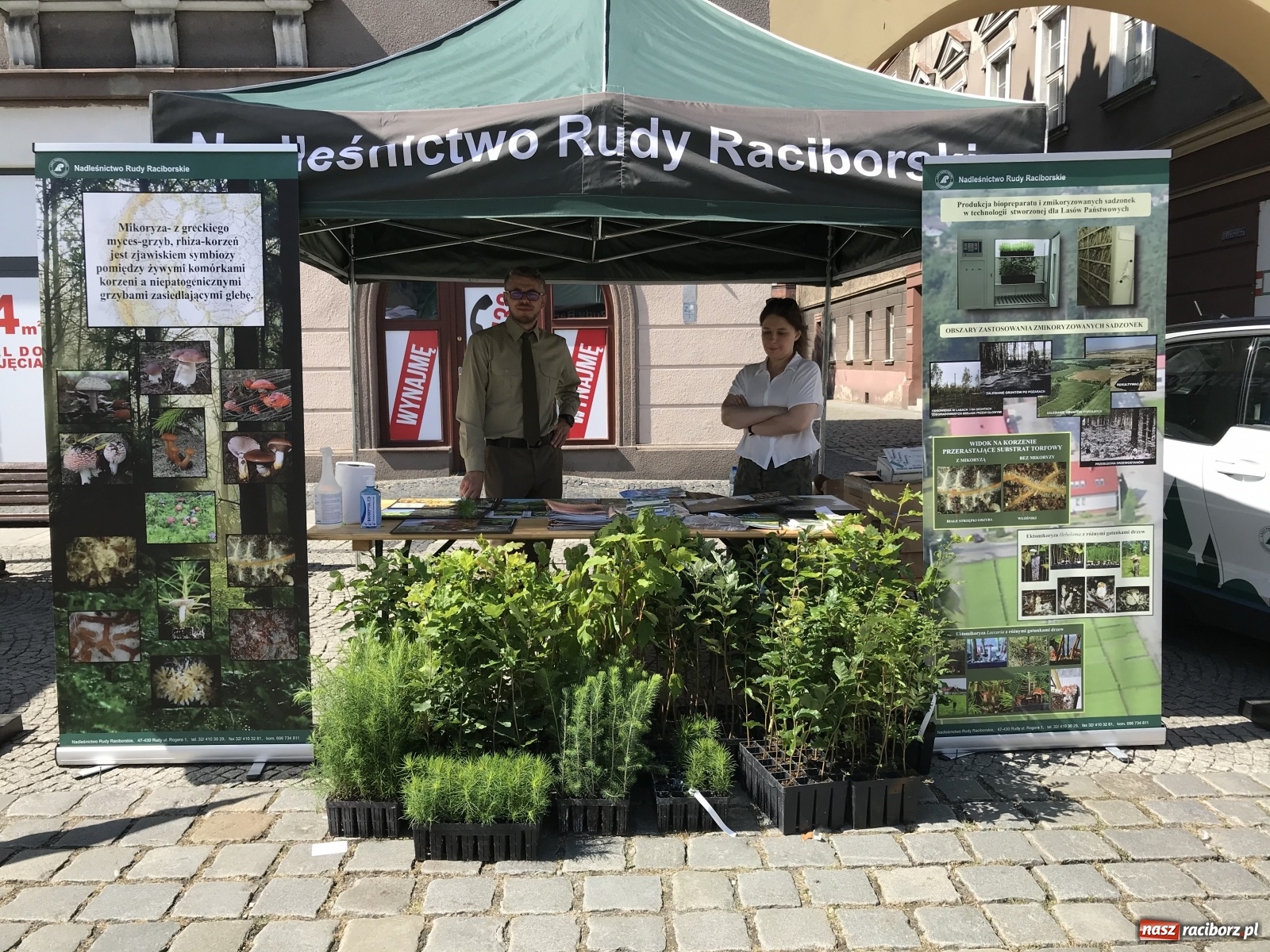Zdjęcie w galerii na portalu naszraciborz.pl: Młodzieżowa Rada Ekologiczna na raciborskim Rynku  wiadomości z regionu