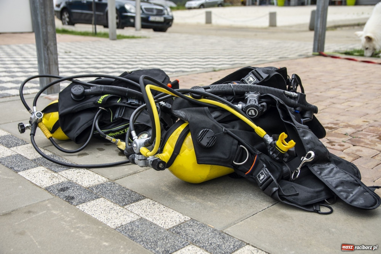Zdjęcie w galerii na portalu naszraciborz.pl: Raciborzanie nurkowali w Jaworznie [FOTO]  wiadomości z regionu