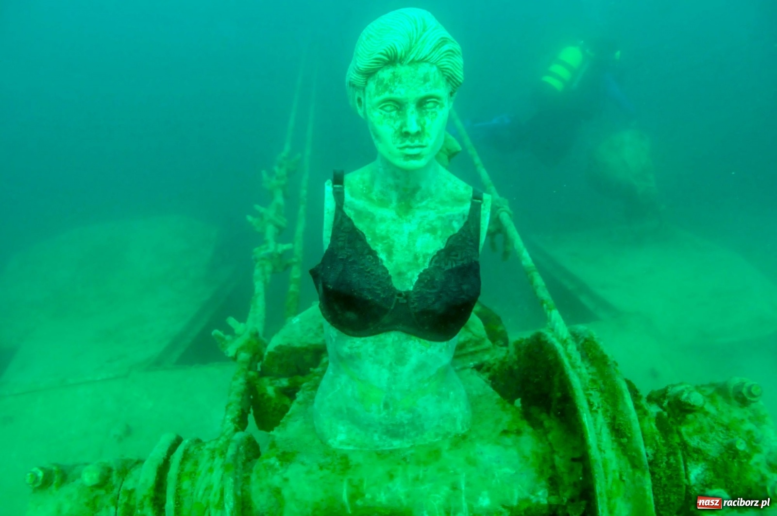 Zdjęcie w galerii na portalu naszraciborz.pl: Raciborzanie nurkowali w Jaworznie [FOTO]  wiadomości z regionu