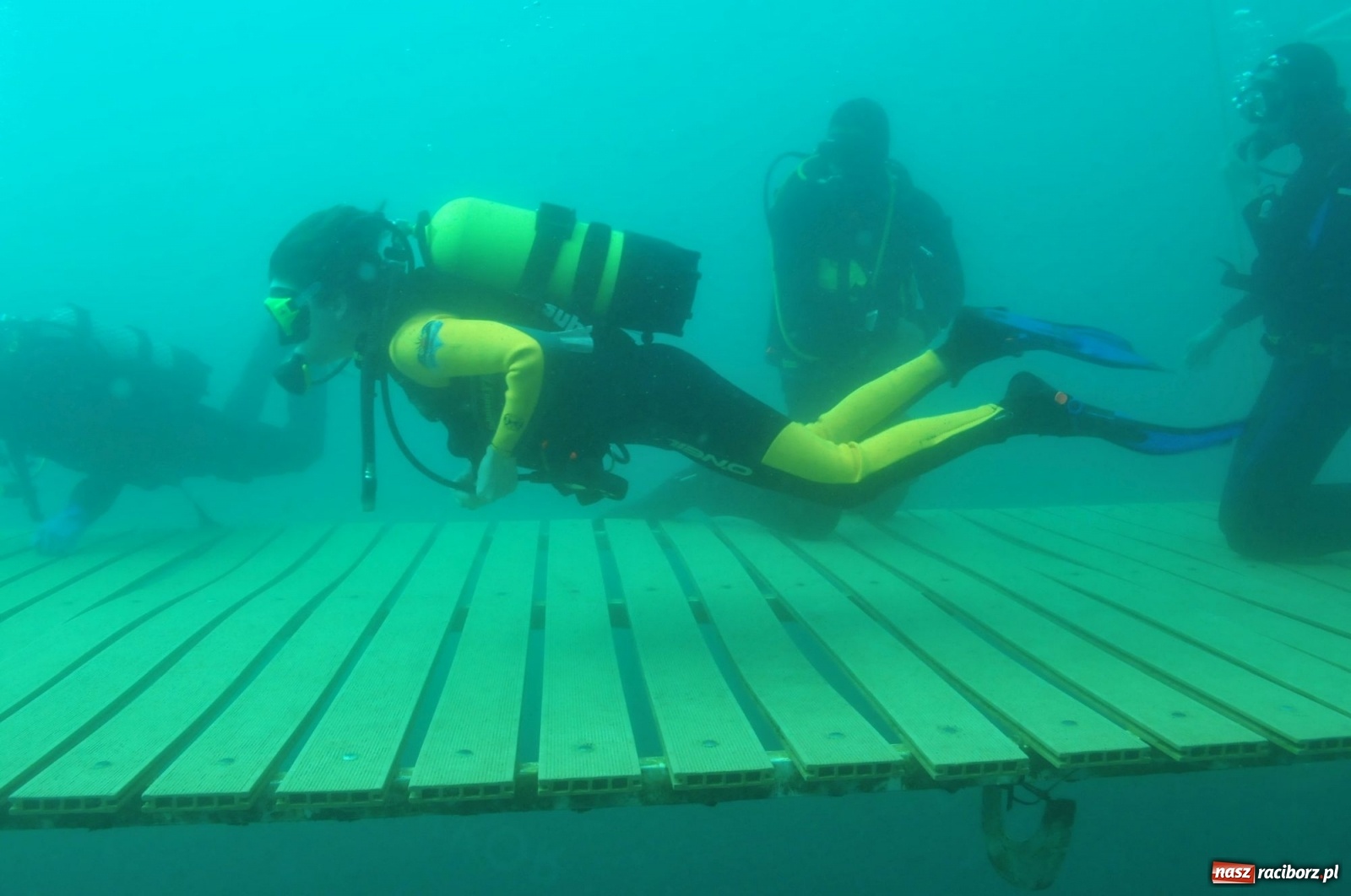 Zdjęcie w galerii na portalu naszraciborz.pl: Raciborzanie nurkowali w Jaworznie [FOTO]  wiadomości z regionu
