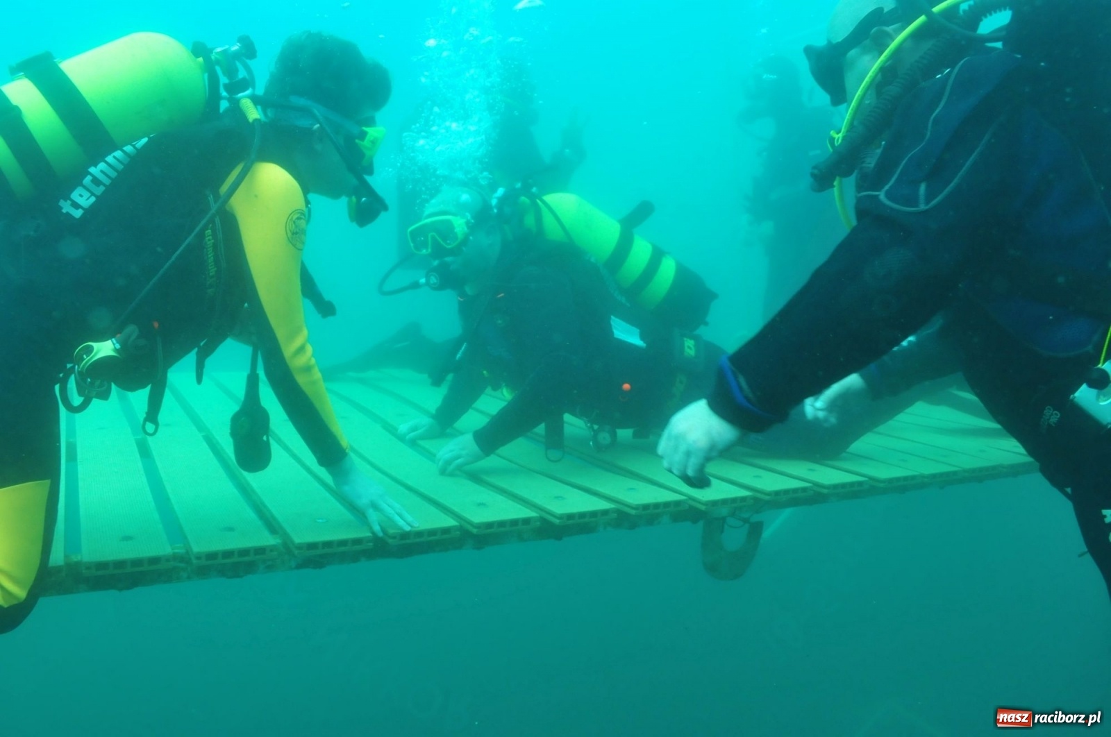 Zdjęcie w galerii na portalu naszraciborz.pl: Raciborzanie nurkowali w Jaworznie [FOTO]  wiadomości z regionu