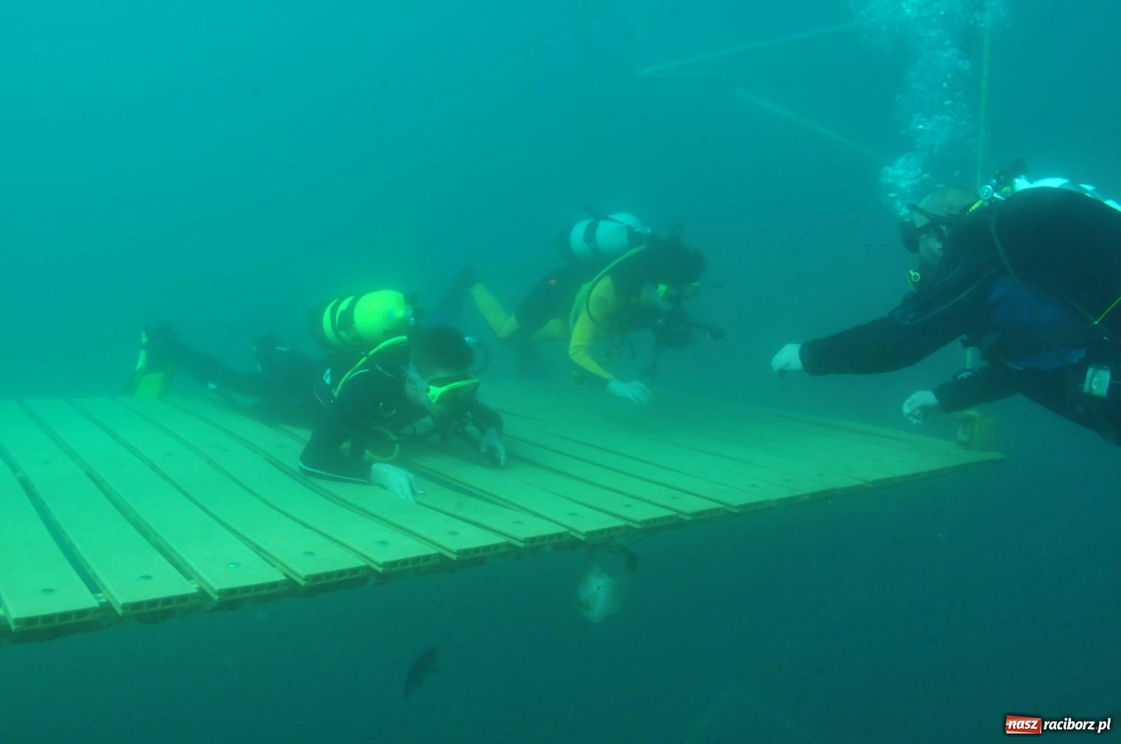 Zdjęcie w galerii na portalu naszraciborz.pl: Raciborzanie nurkowali w Jaworznie [FOTO]  wiadomości z regionu