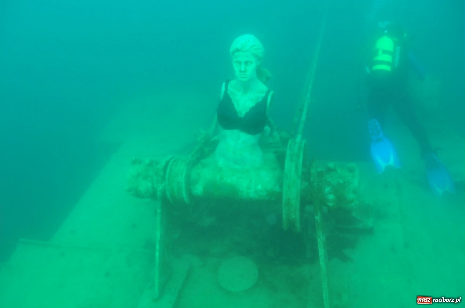 Zdjęcie w galerii na portalu naszraciborz.pl: Raciborzanie nurkowali w Jaworznie [FOTO]  wiadomości z regionu
