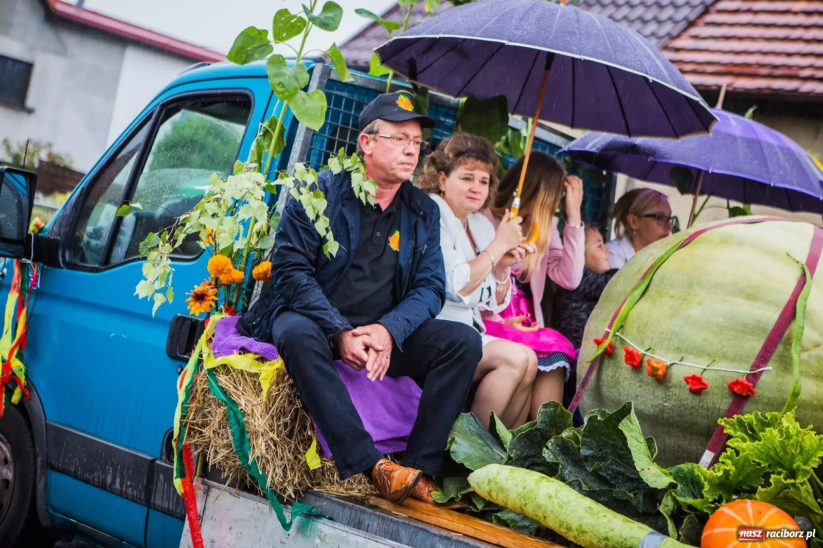 Zdjęcie w galerii na portalu naszraciborz.pl: Raciborski hodowca warzyw gigantów w TVP  wiadomości z regionu