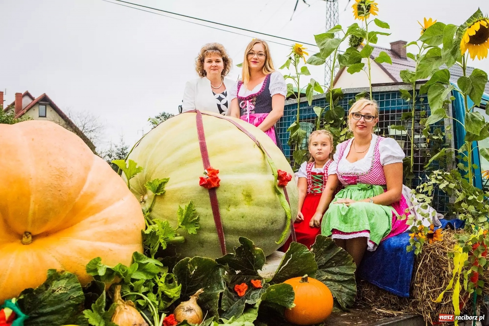 Zdjęcie w galerii na portalu naszraciborz.pl: Raciborski hodowca warzyw gigantów w TVP  wiadomości z regionu