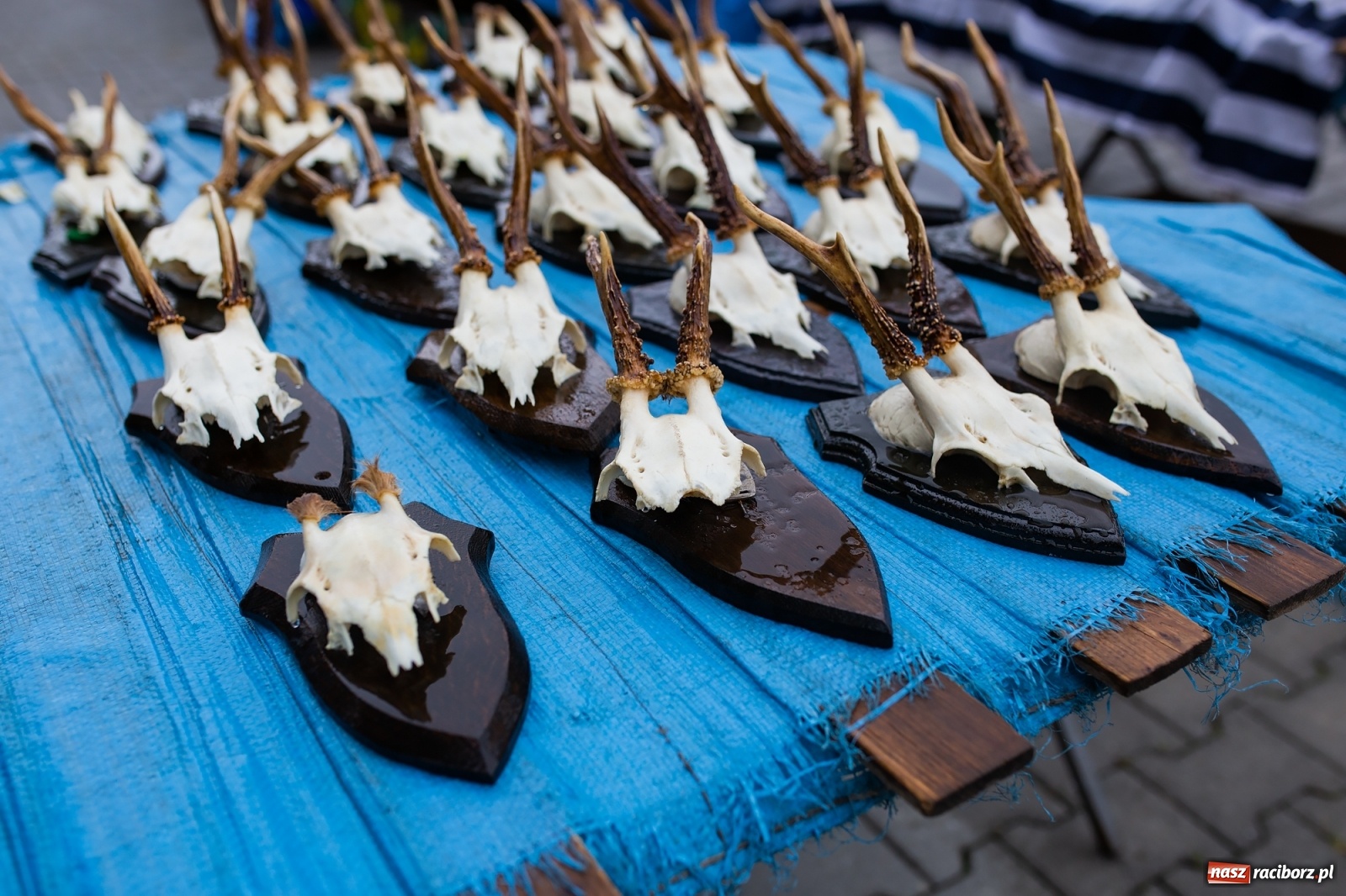 Zdjęcie w galerii na portalu naszraciborz.pl: Pogoda nie pomogła handlującym w Pietrowicach Wielkich  wiadomości z regionu