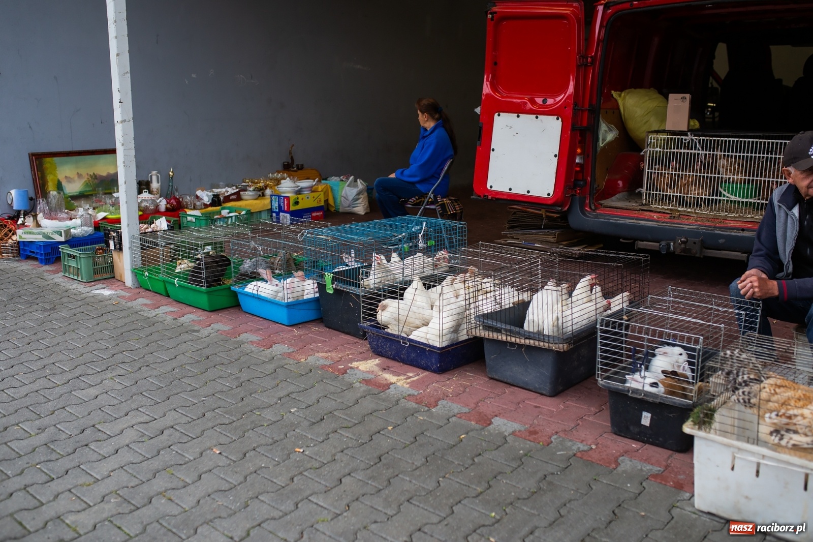 Zdjęcie w galerii na portalu naszraciborz.pl: Pogoda nie pomogła handlującym w Pietrowicach Wielkich  wiadomości z regionu