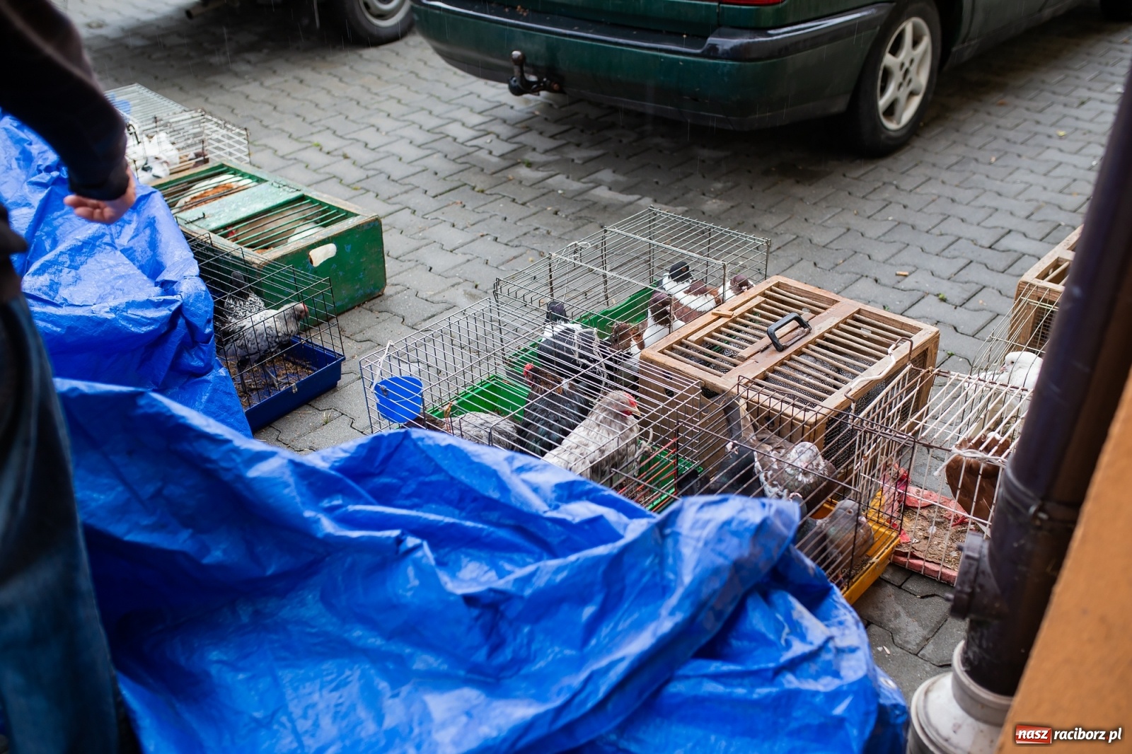 Zdjęcie w galerii na portalu naszraciborz.pl: Pogoda nie pomogła handlującym w Pietrowicach Wielkich  wiadomości z regionu