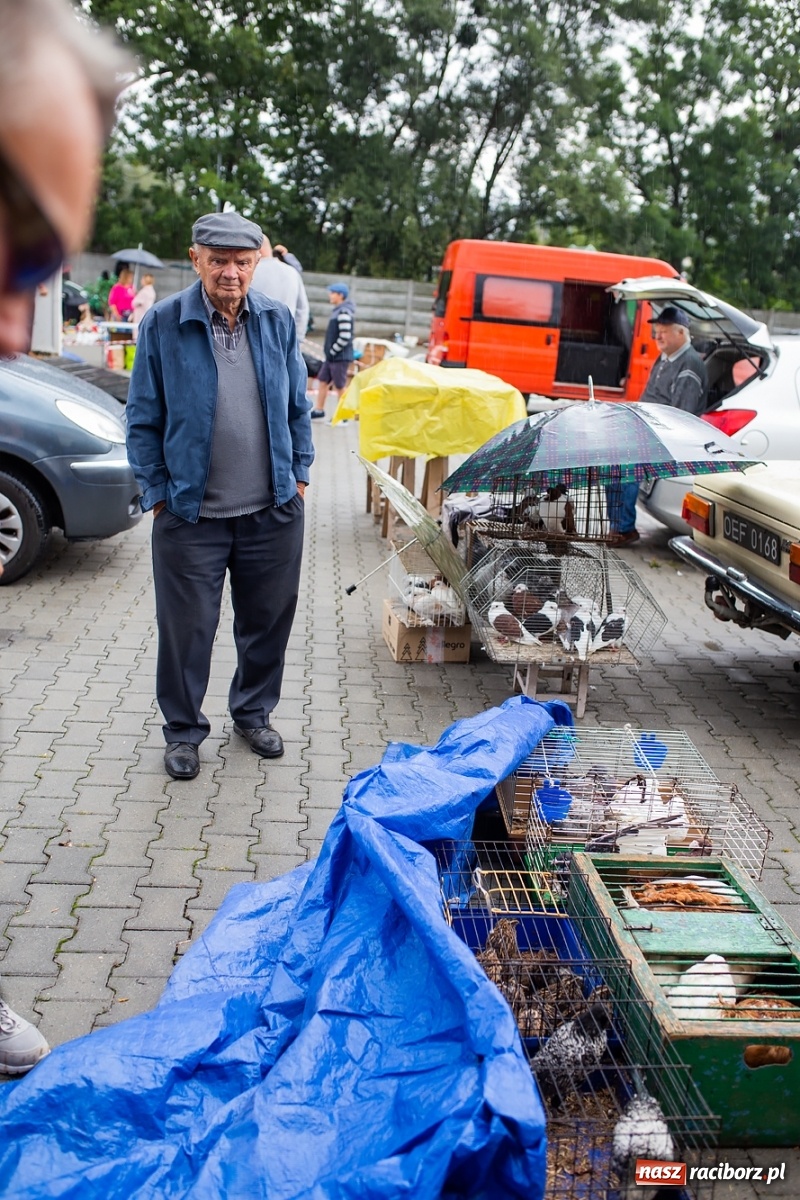 Zdjęcie w galerii na portalu naszraciborz.pl: Pogoda nie pomogła handlującym w Pietrowicach Wielkich  wiadomości z regionu