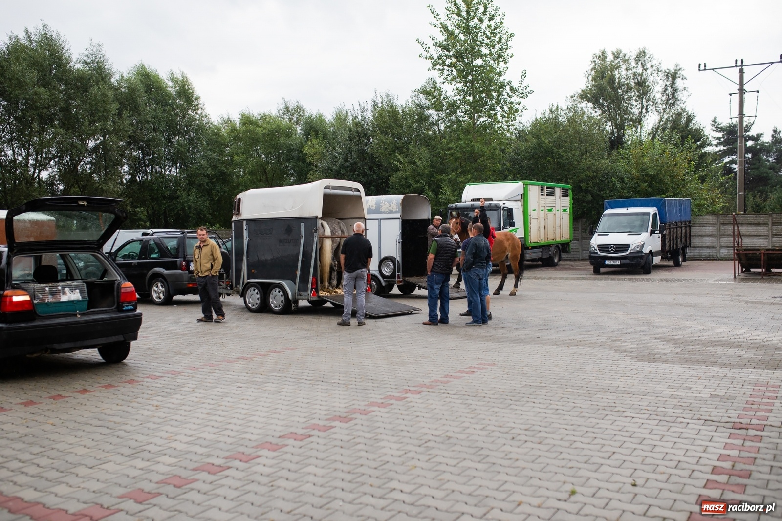 Zdjęcie w galerii na portalu naszraciborz.pl: Pogoda nie pomogła handlującym w Pietrowicach Wielkich  wiadomości z regionu