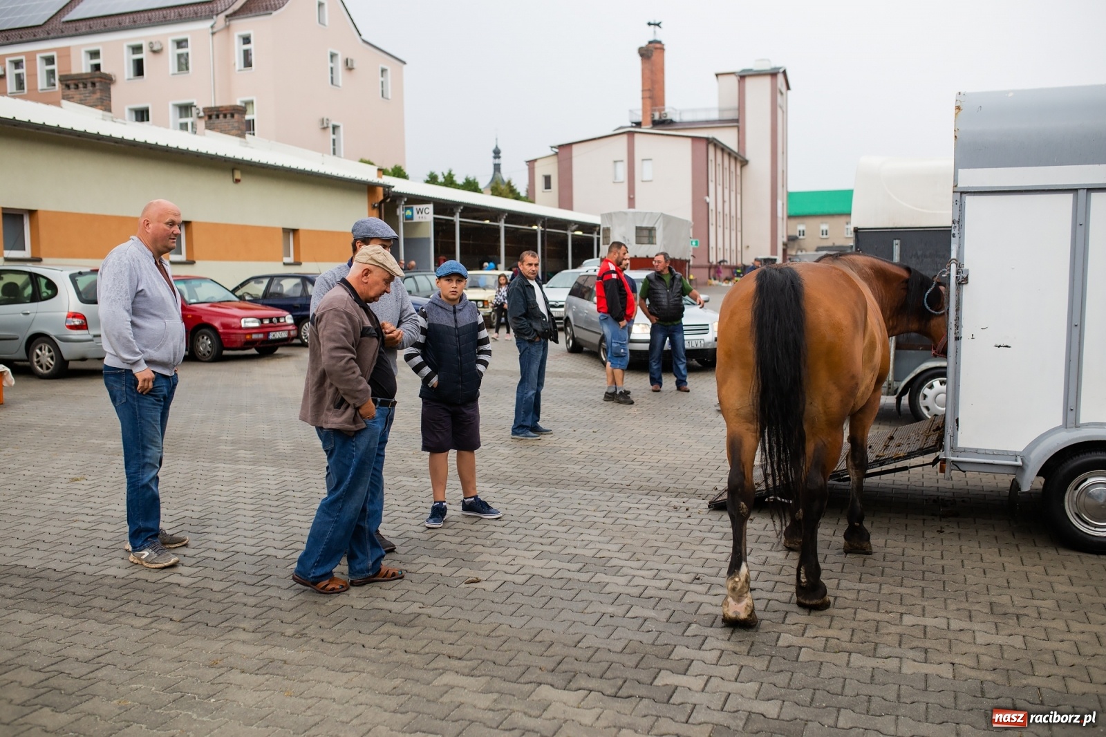Zdjęcie w galerii na portalu naszraciborz.pl: Pogoda nie pomogła handlującym w Pietrowicach Wielkich  wiadomości z regionu