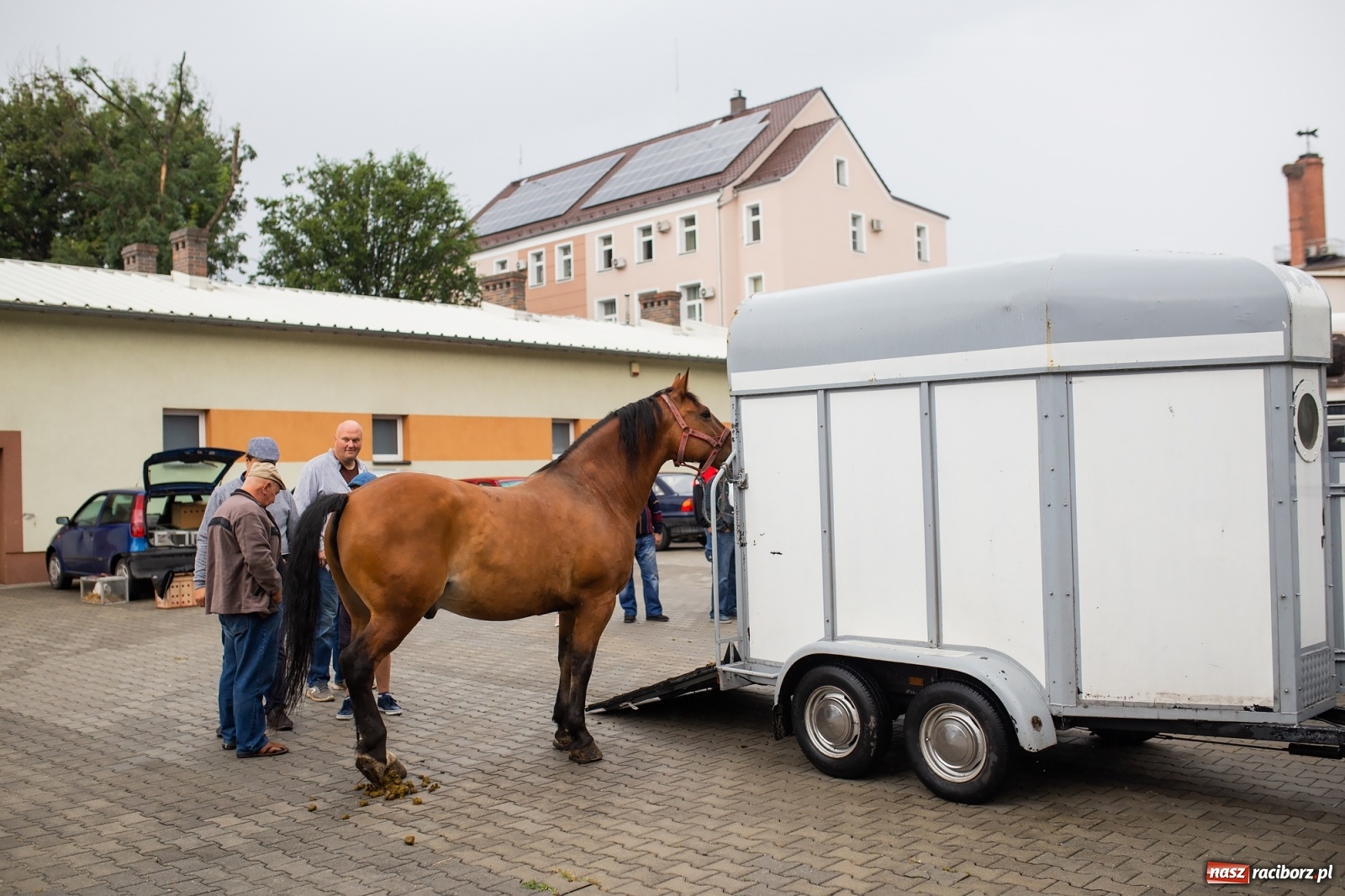 Zdjęcie w galerii na portalu naszraciborz.pl: Pogoda nie pomogła handlującym w Pietrowicach Wielkich  wiadomości z regionu