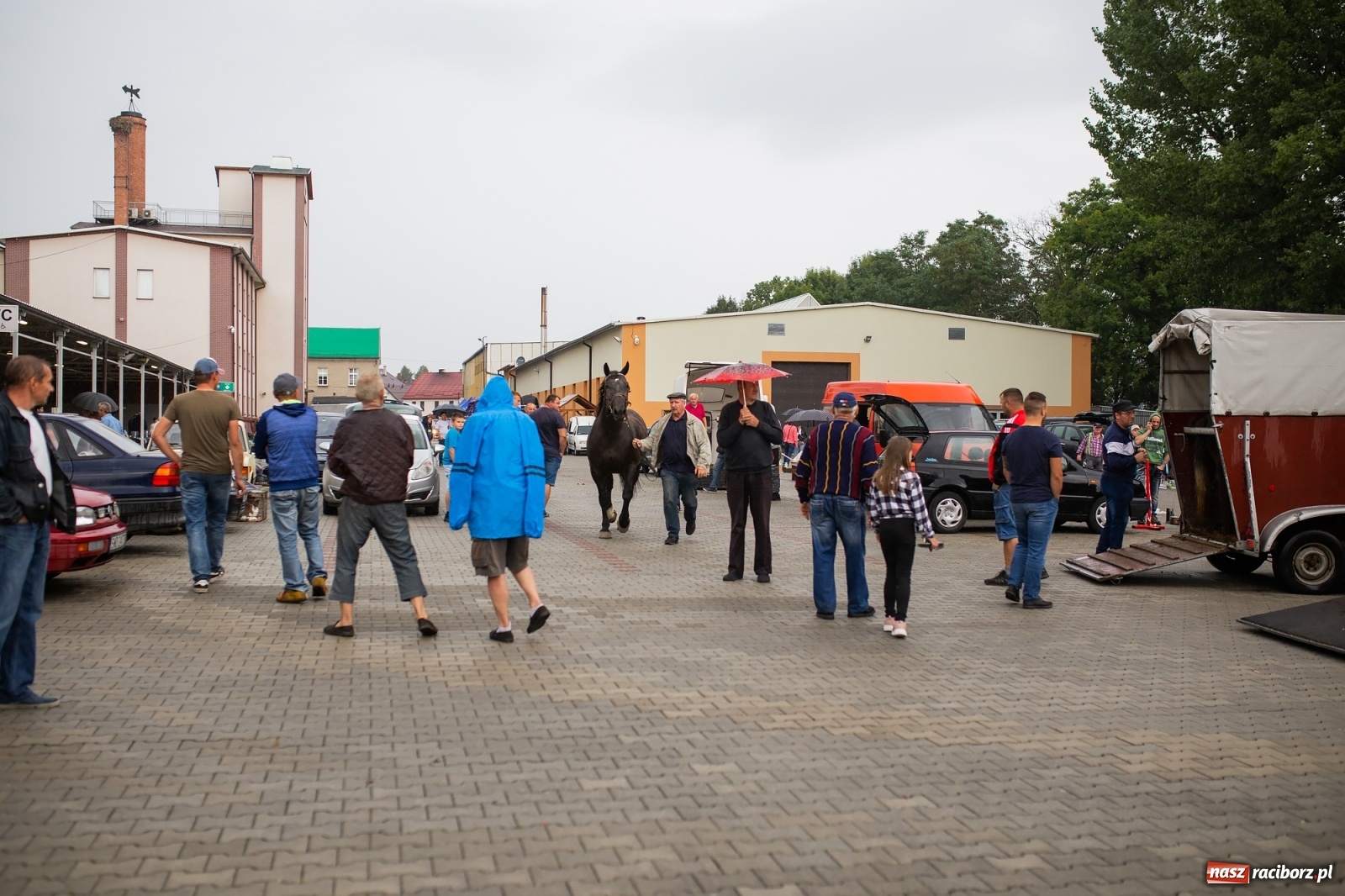 Zdjęcie w galerii na portalu naszraciborz.pl: Pogoda nie pomogła handlującym w Pietrowicach Wielkich  wiadomości z regionu