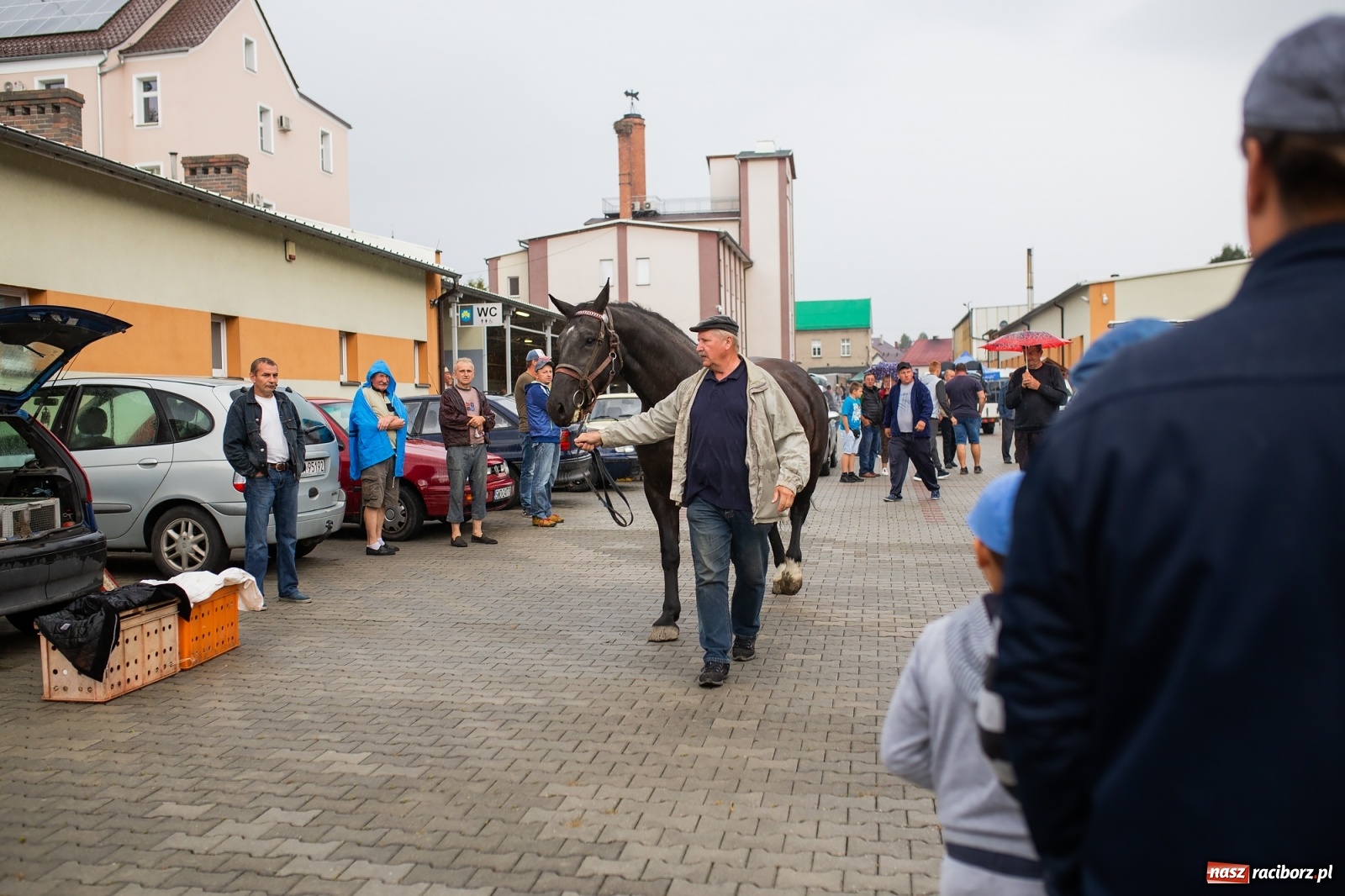 Zdjęcie w galerii na portalu naszraciborz.pl: Pogoda nie pomogła handlującym w Pietrowicach Wielkich  wiadomości z regionu