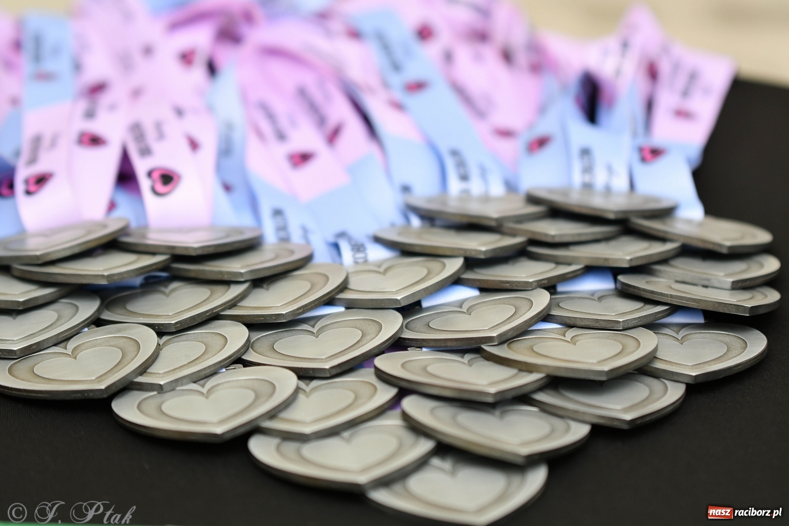 Zdjęcie w galerii na portalu naszraciborz.pl: Raciborski Bieg po niezależność  wiadomości z regionu