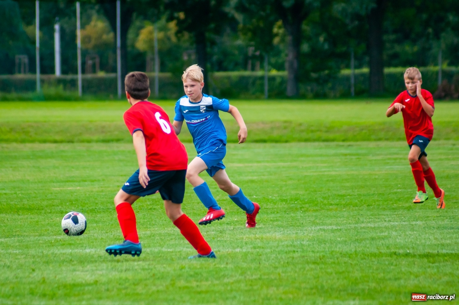 Zdjęcie w galerii na portalu naszraciborz.pl: Młodziki Unii Racibórz górą nad Studzienną [FOTO i WIDEO] wiadomości z regionu