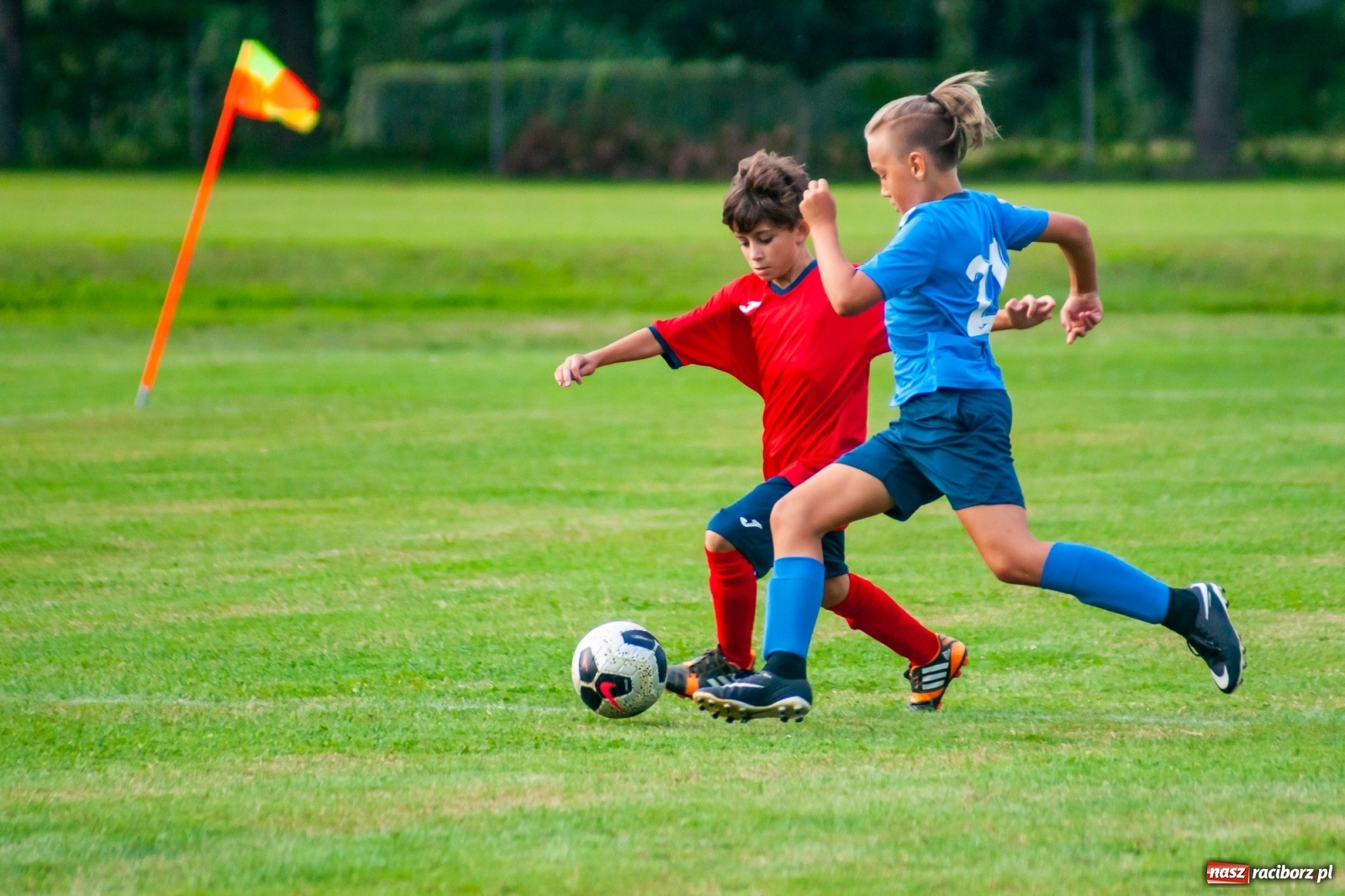 Zdjęcie w galerii na portalu naszraciborz.pl: Młodziki Unii Racibórz górą nad Studzienną [FOTO i WIDEO] wiadomości z regionu