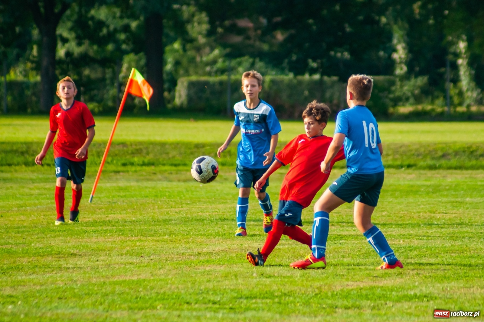 Zdjęcie w galerii na portalu naszraciborz.pl: Młodziki Unii Racibórz górą nad Studzienną [FOTO i WIDEO] wiadomości z regionu