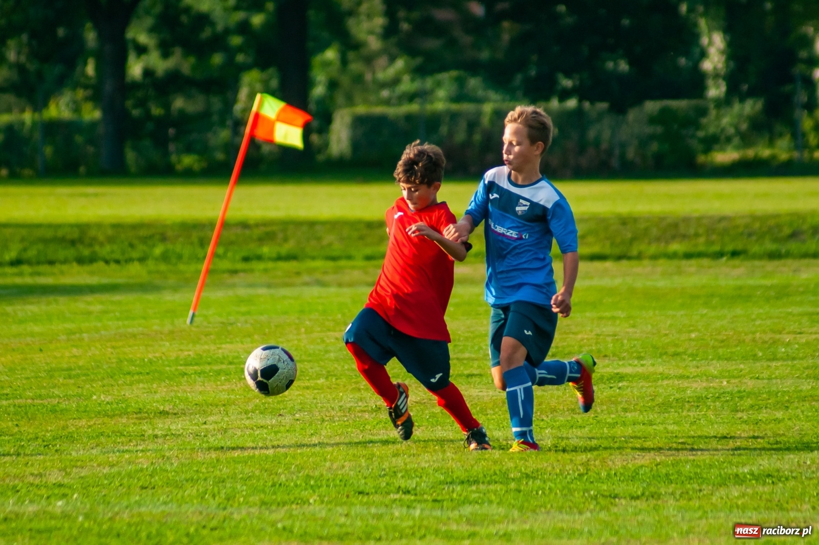 Zdjęcie w galerii na portalu naszraciborz.pl: Młodziki Unii Racibórz górą nad Studzienną [FOTO i WIDEO] wiadomości z regionu