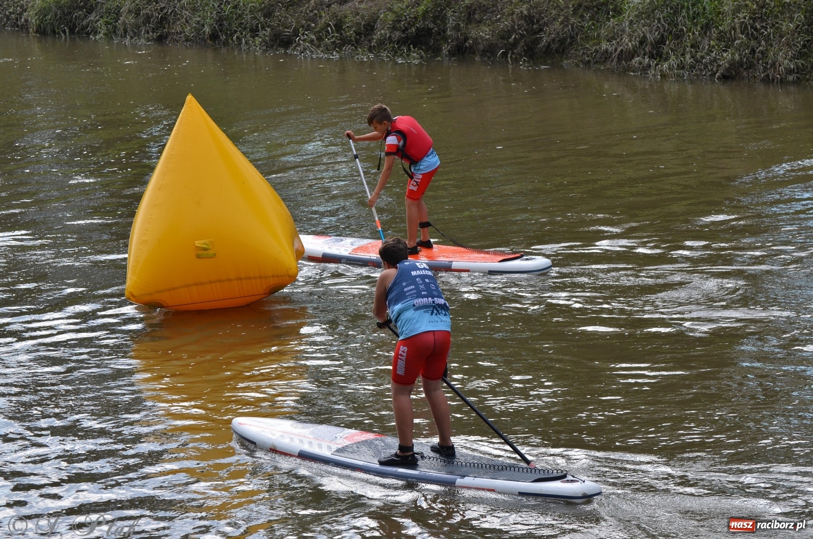 Zdjęcie w galerii na portalu naszraciborz.pl: ODRA SUP CUP - regaty na desce w Raciborzu  wiadomości z regionu
