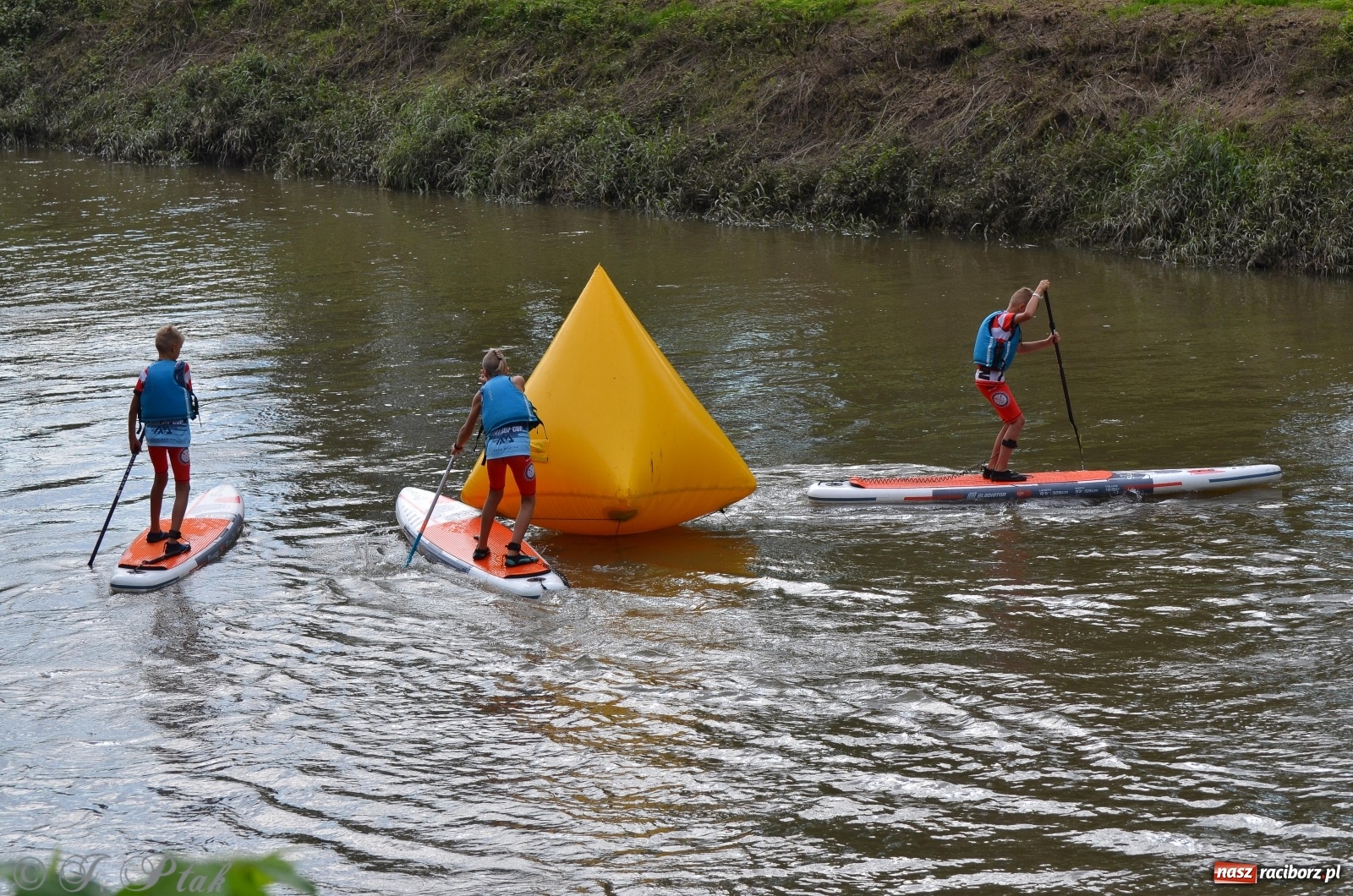 Zdjęcie w galerii na portalu naszraciborz.pl: ODRA SUP CUP - regaty na desce w Raciborzu  wiadomości z regionu