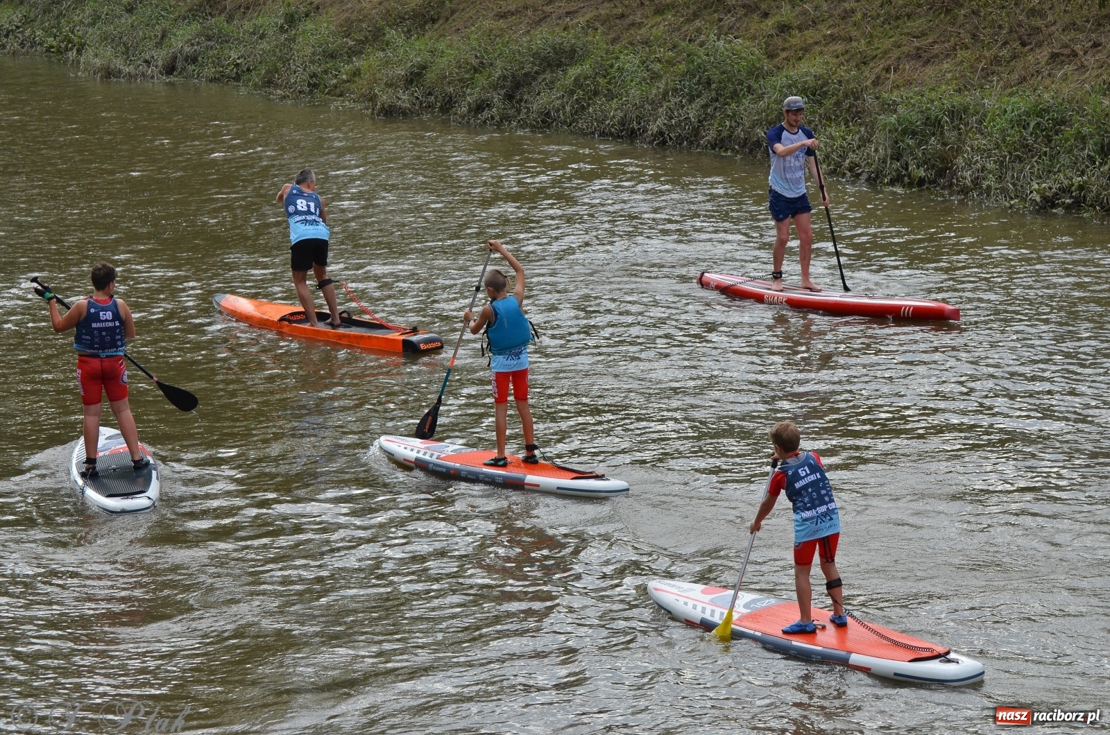 Zdjęcie w galerii na portalu naszraciborz.pl: ODRA SUP CUP - regaty na desce w Raciborzu  wiadomości z regionu