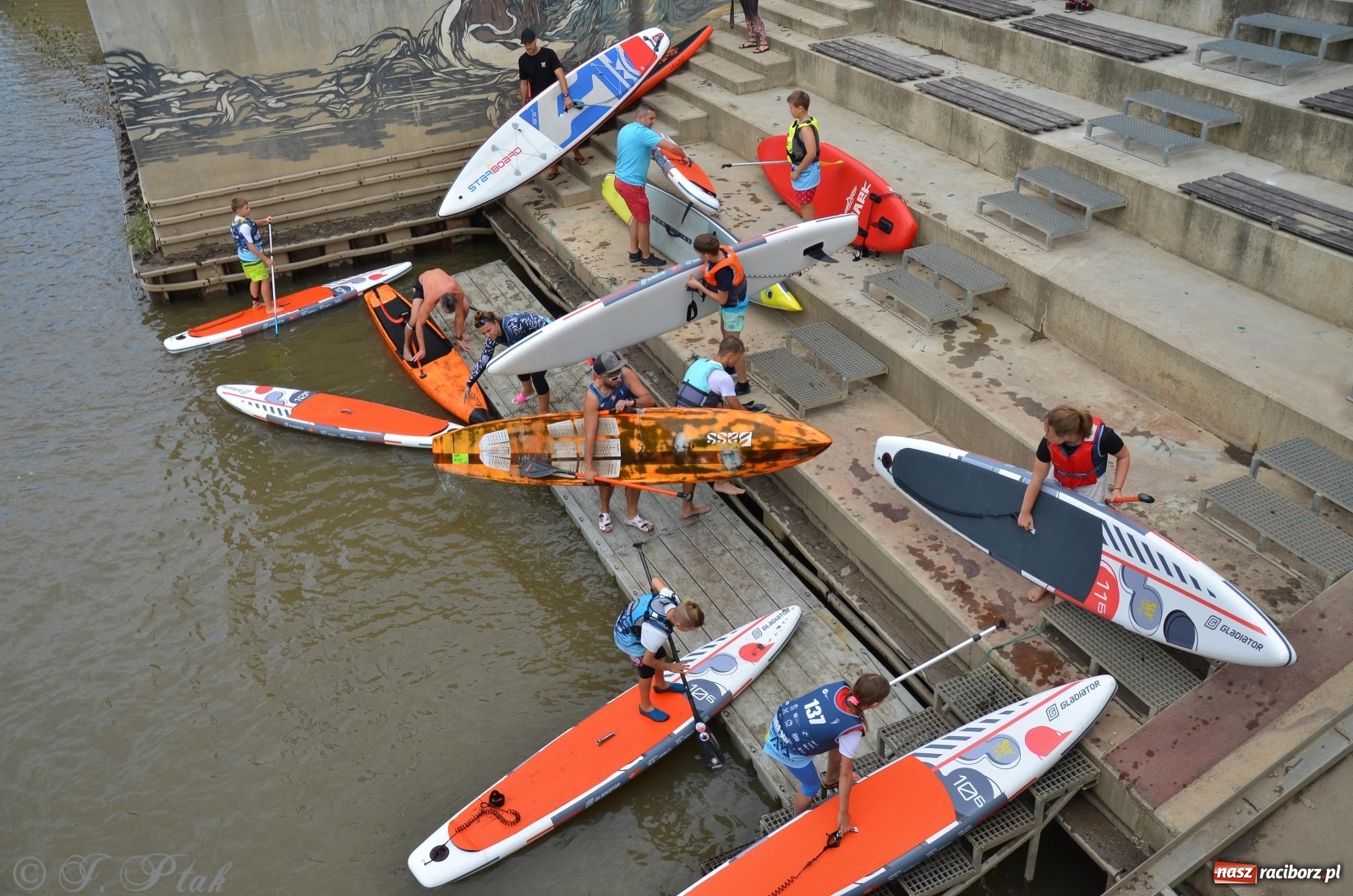 Zdjęcie w galerii na portalu naszraciborz.pl: ODRA SUP CUP - regaty na desce w Raciborzu  wiadomości z regionu