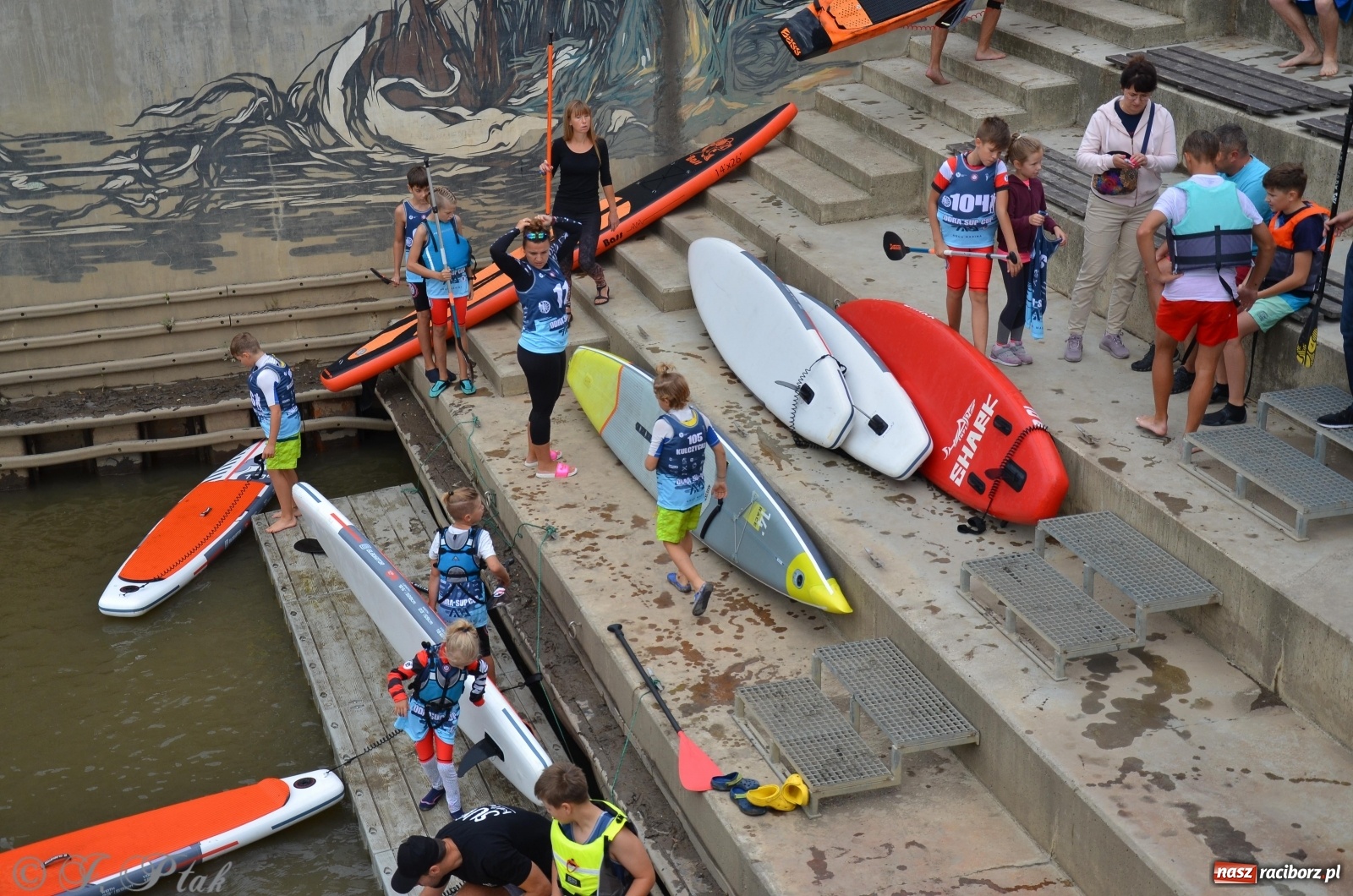 Zdjęcie w galerii na portalu naszraciborz.pl: ODRA SUP CUP - regaty na desce w Raciborzu  wiadomości z regionu